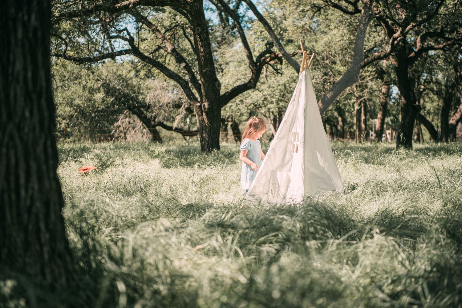 A rustic teepee tent stands in a sun-dappled forest clearing surrounded by tall trees and golden grass.