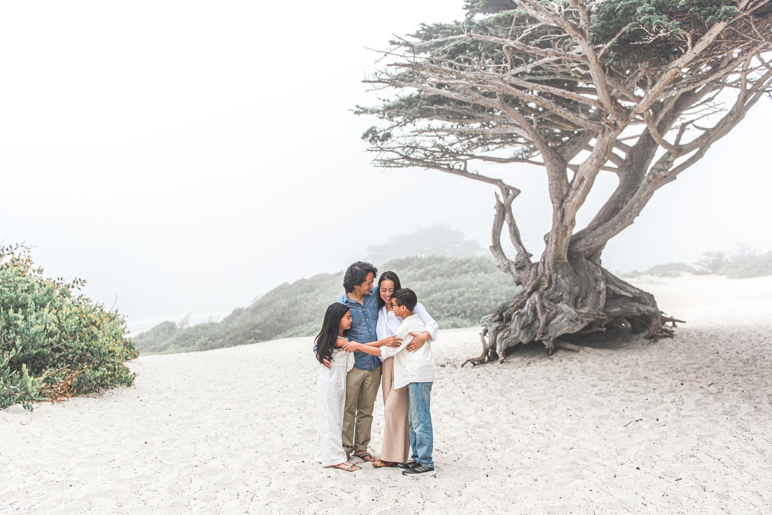 A family huddles together beneath a windswept cypress tree on a misty coastal beach in California.