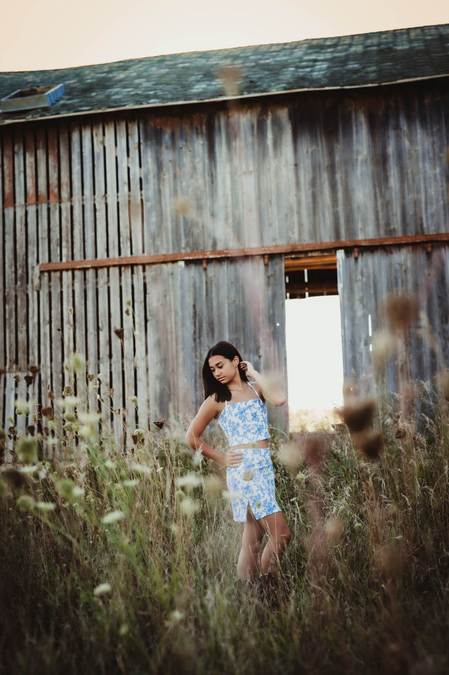 A sequence of artistic photos showing movement against a rustic barn wall with tall grass in the foreground in Port Washington, WI