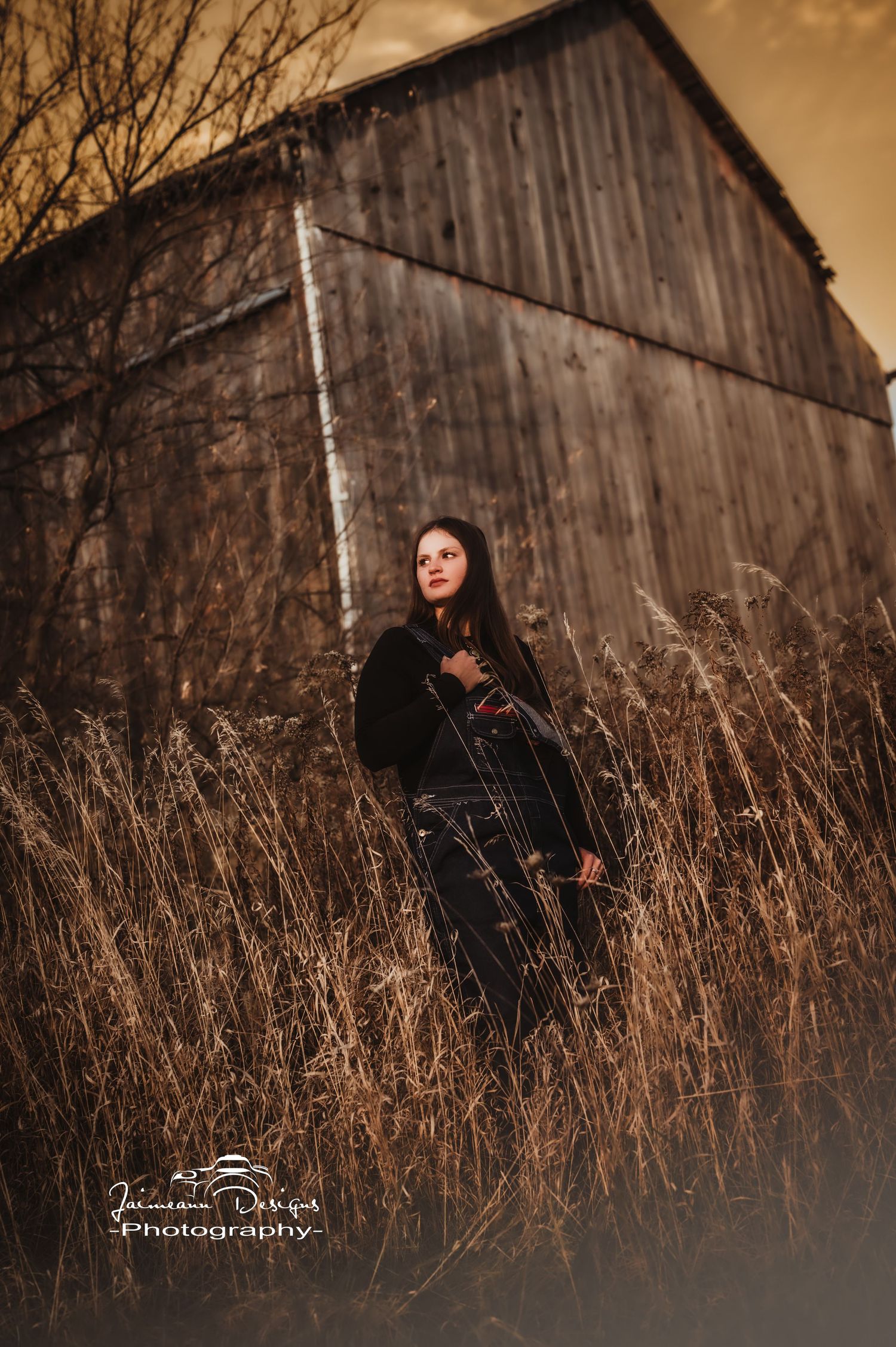 Moody autumn portrait against weathered barn with tall dry grass in golden light.
