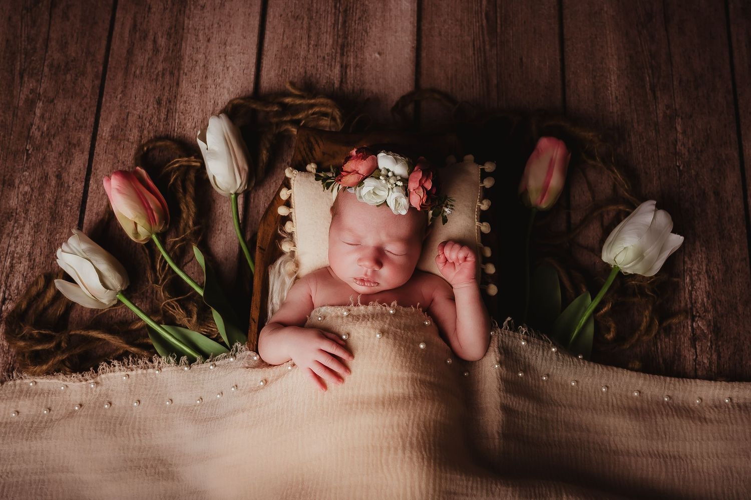 Newborn Photographer in Kewaskum, West Bend, Wisconsin