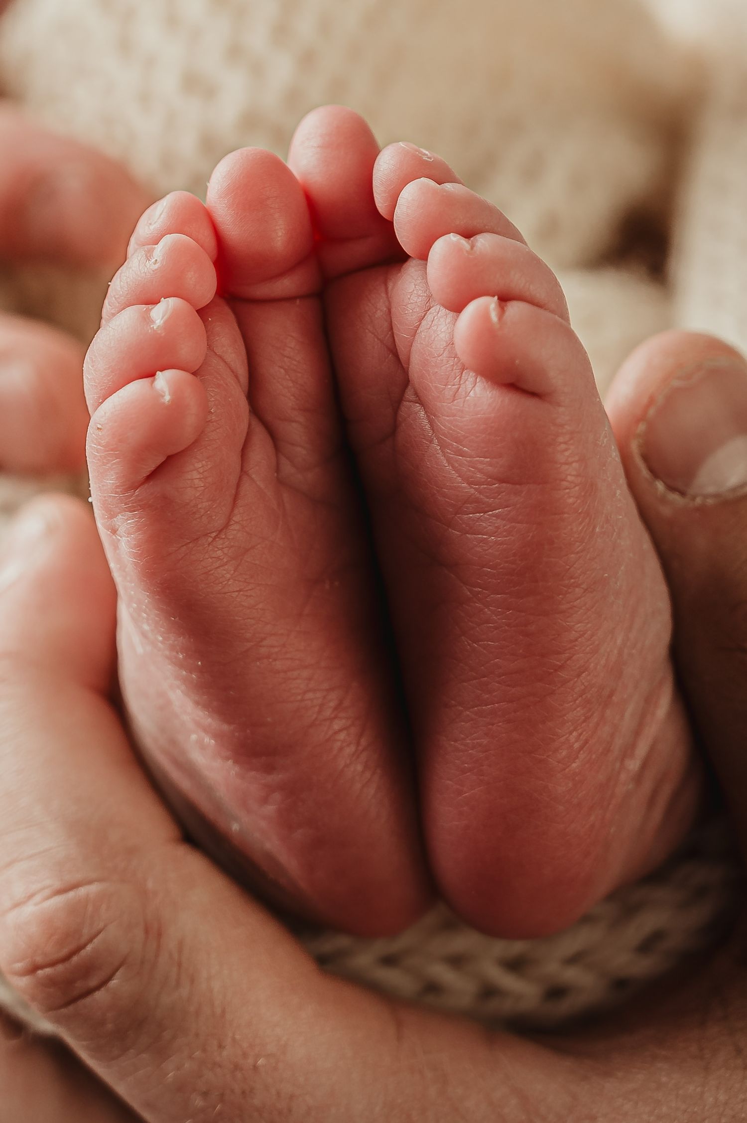 Close-up of tiny newborn feet with perfect pink toes against knitted fabric.