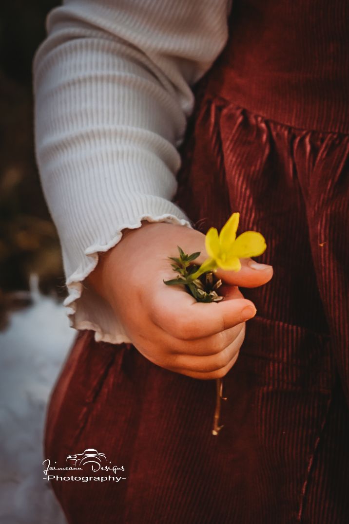 A close-up shot of small hands holding a delicate yellow flower against a burgundy dress.