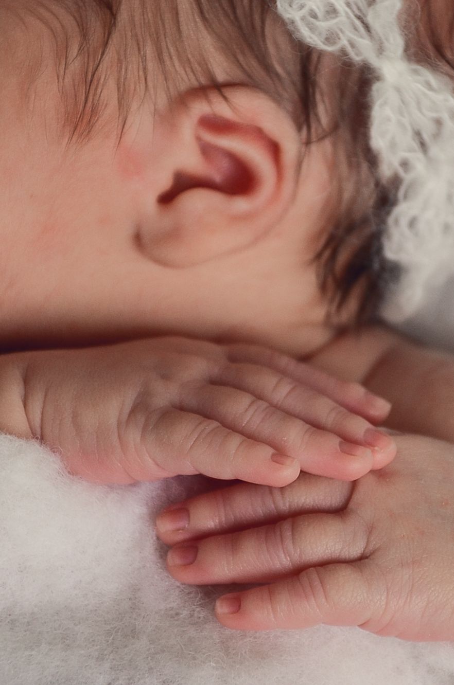 A series of close-up photos newborn session in studio near Cedarburg, WI