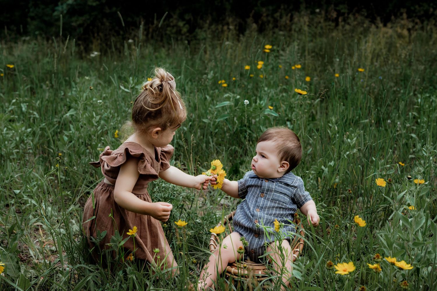 A toddler girl in a pink dress offers a yellow flower to a baby boy sitting in a basket in a lush green meadow.