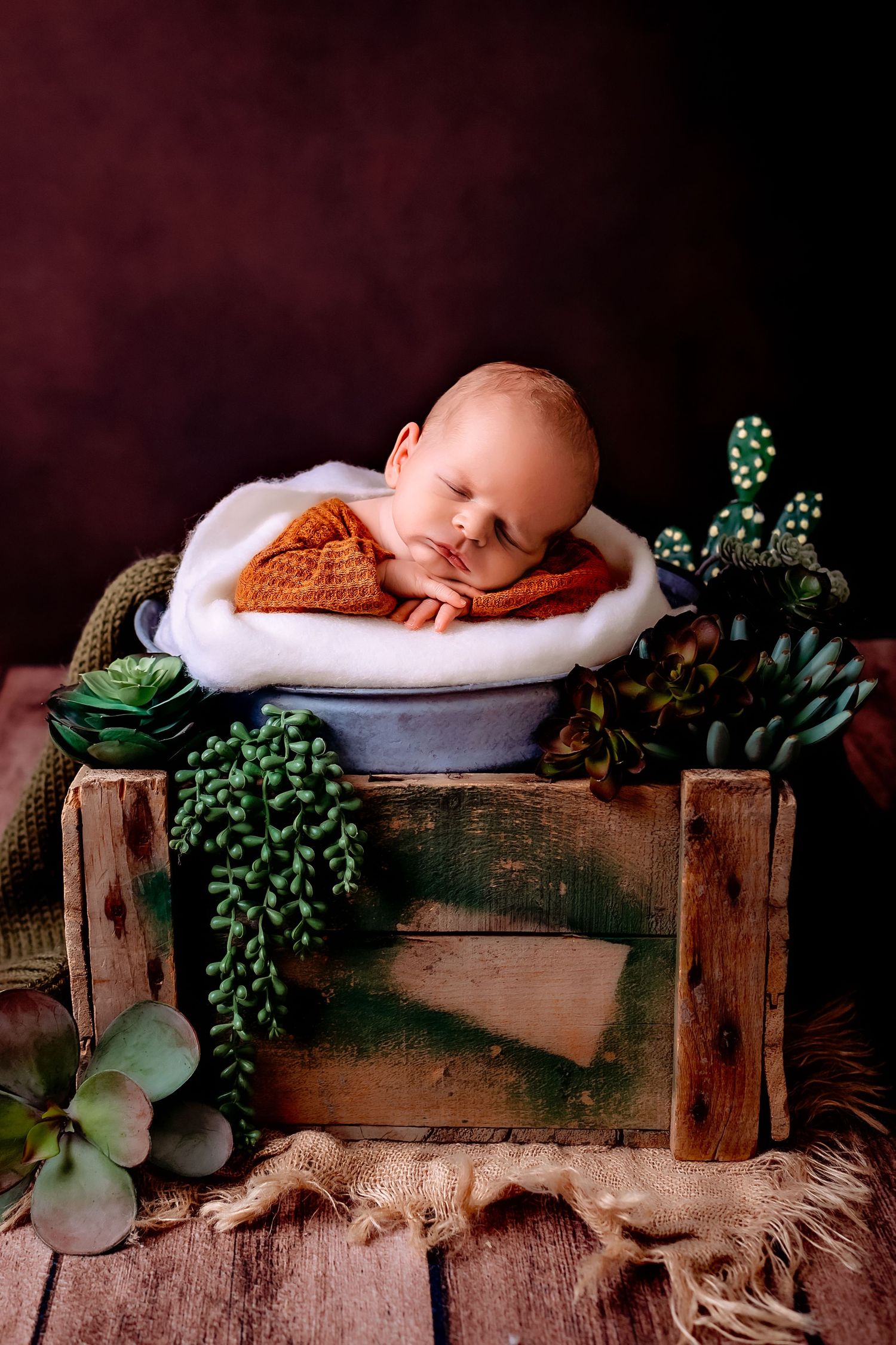 Cactus theme newborn session in studio near West Bend, WI