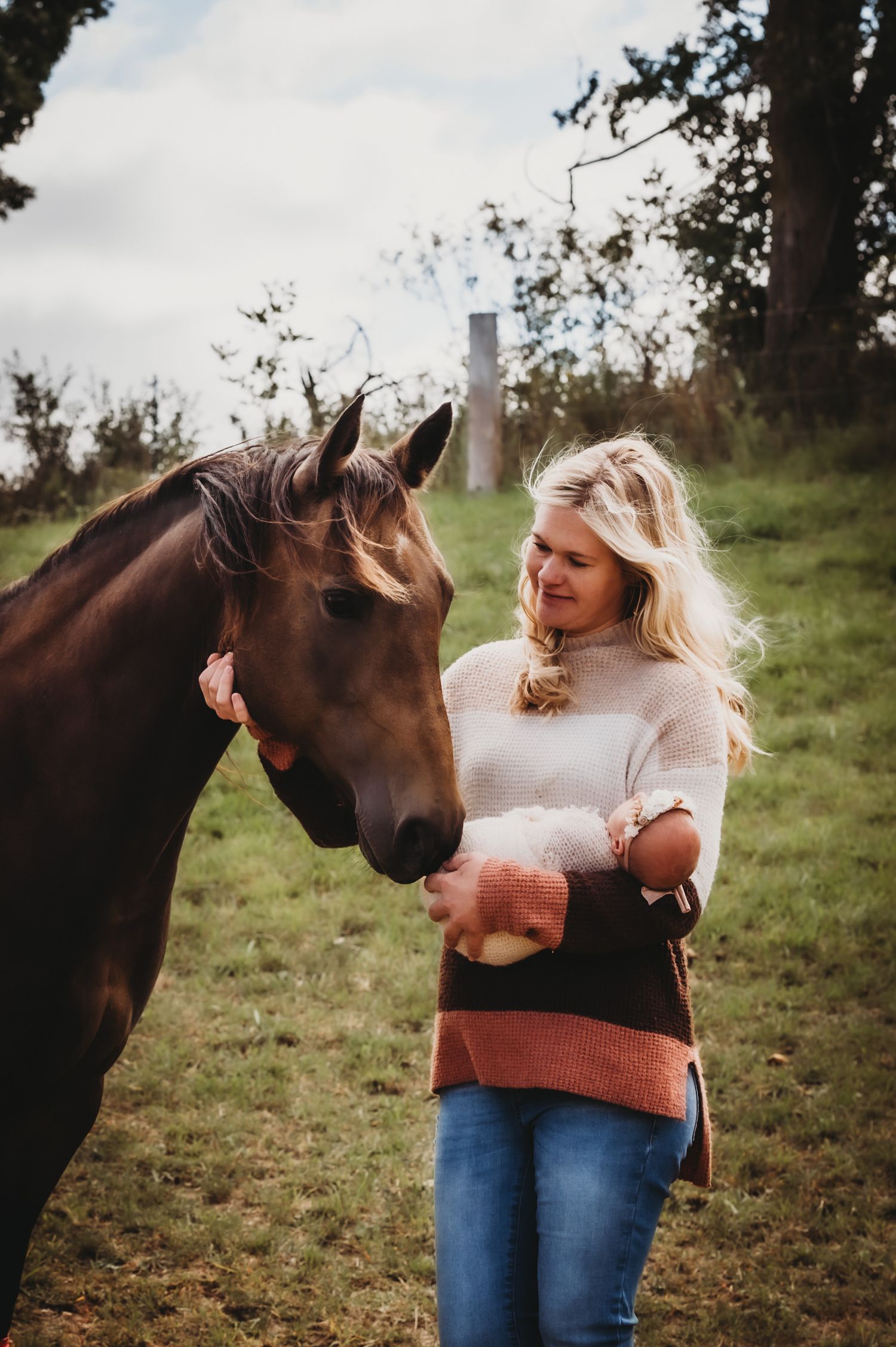 A serene moment between a brown horse and someone in a cream sweater holding treats in a pastoral setting.