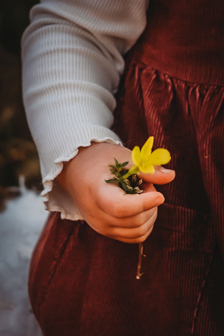 A hand holding a delicate yellow flower against a dark burgundy dress and white sleeve background.