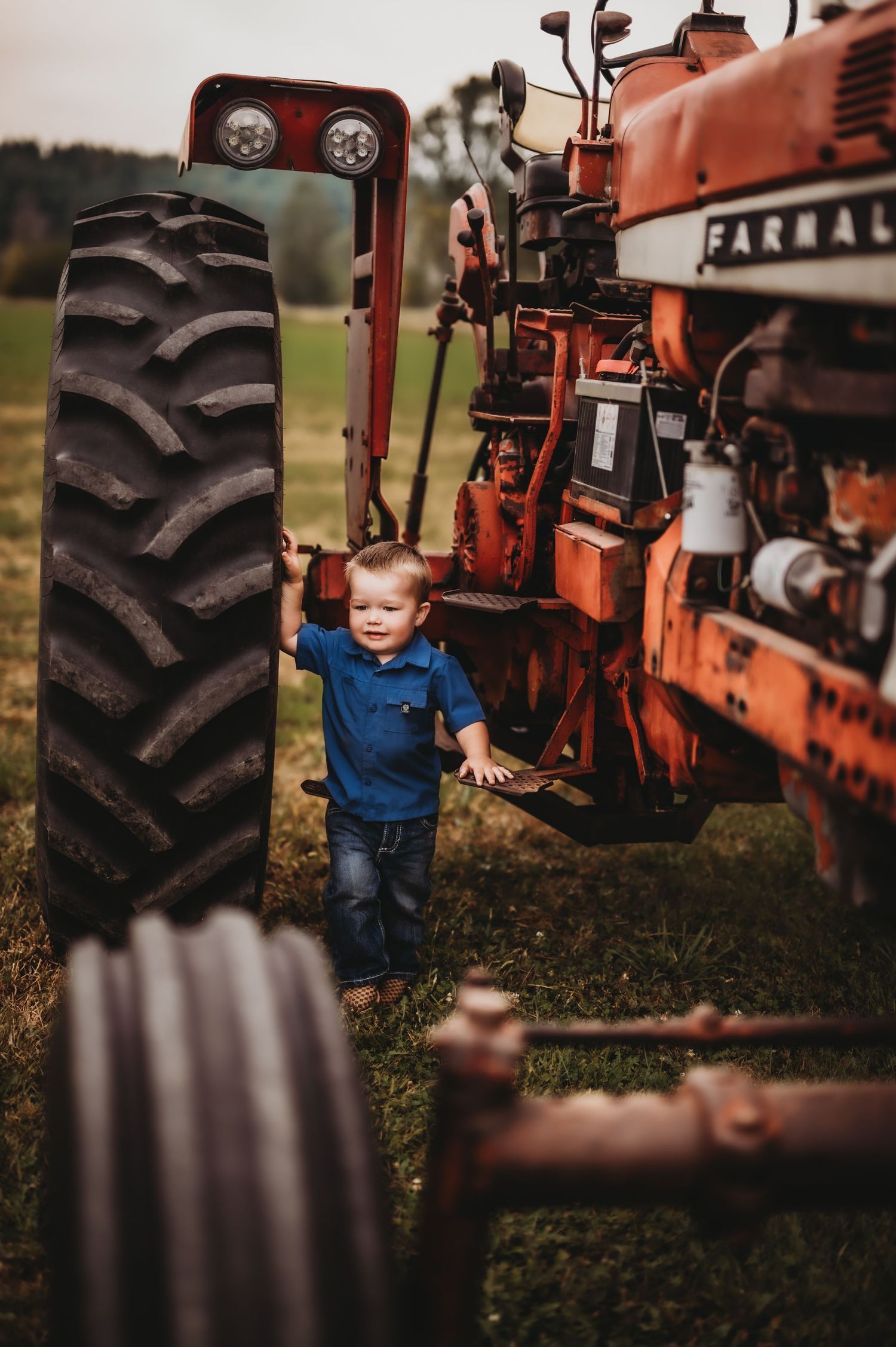 Children Lifestyle Farm Session
