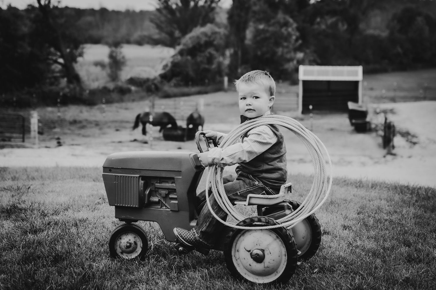 Children Lifestyle Farm Session Kewaskum
