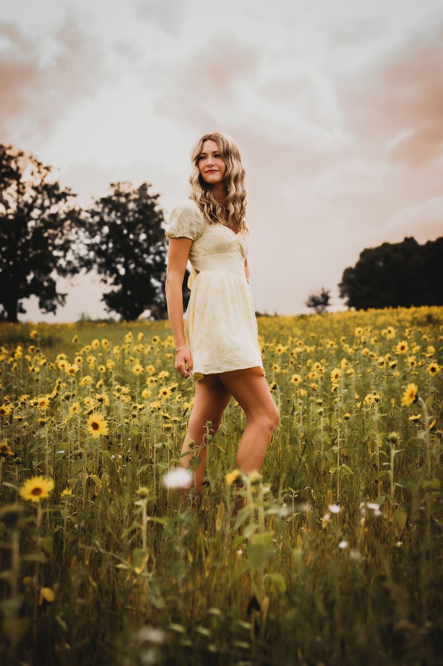 A woman in a white dress walks through a golden sunflower field at sunset, creating a dreamy summer scene, West Bend, WI
