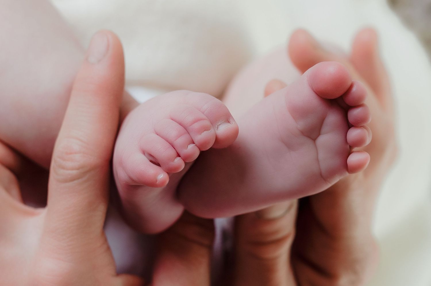 Close-up of a newborn baby's tiny feet cradled gently in adult hands, capturing a tender moment of new parenthood.