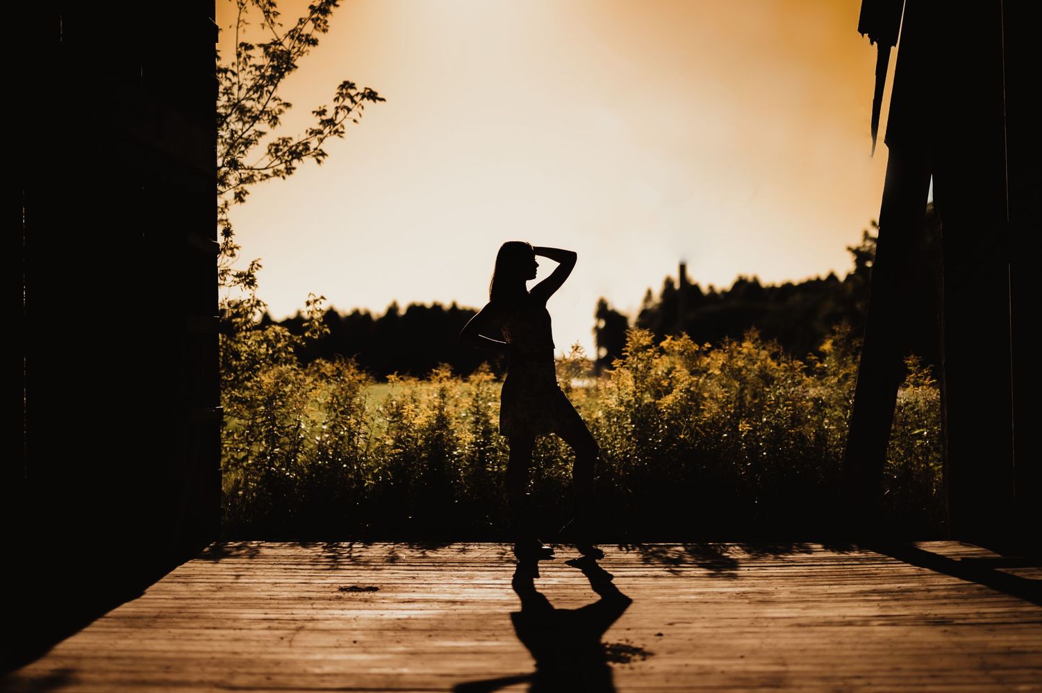 Silhouette of a figure on a wooden deck at sunset with golden wildflowers in the background.