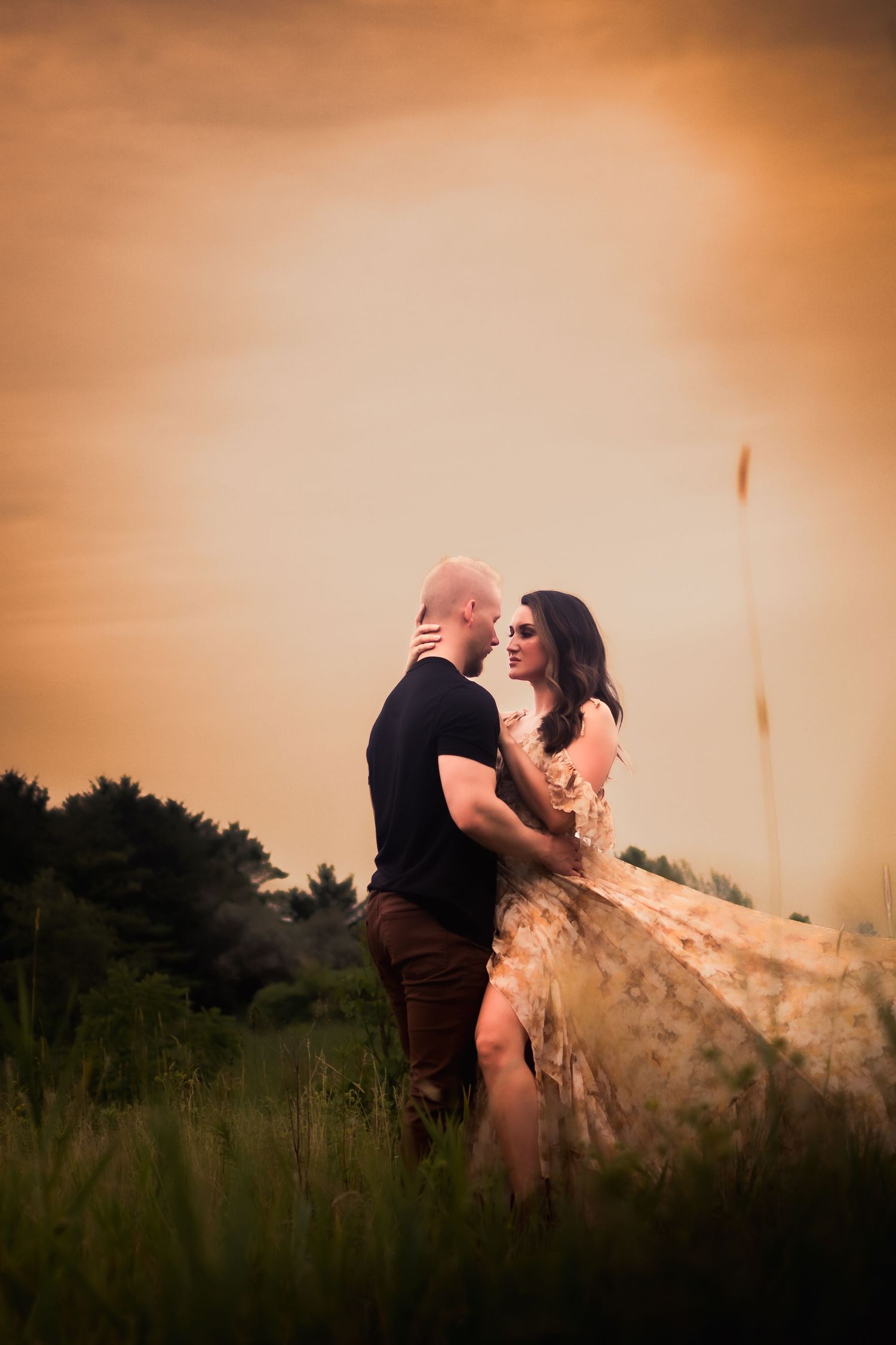 Romantic couple embracing in tall grass field during golden hour sunset.