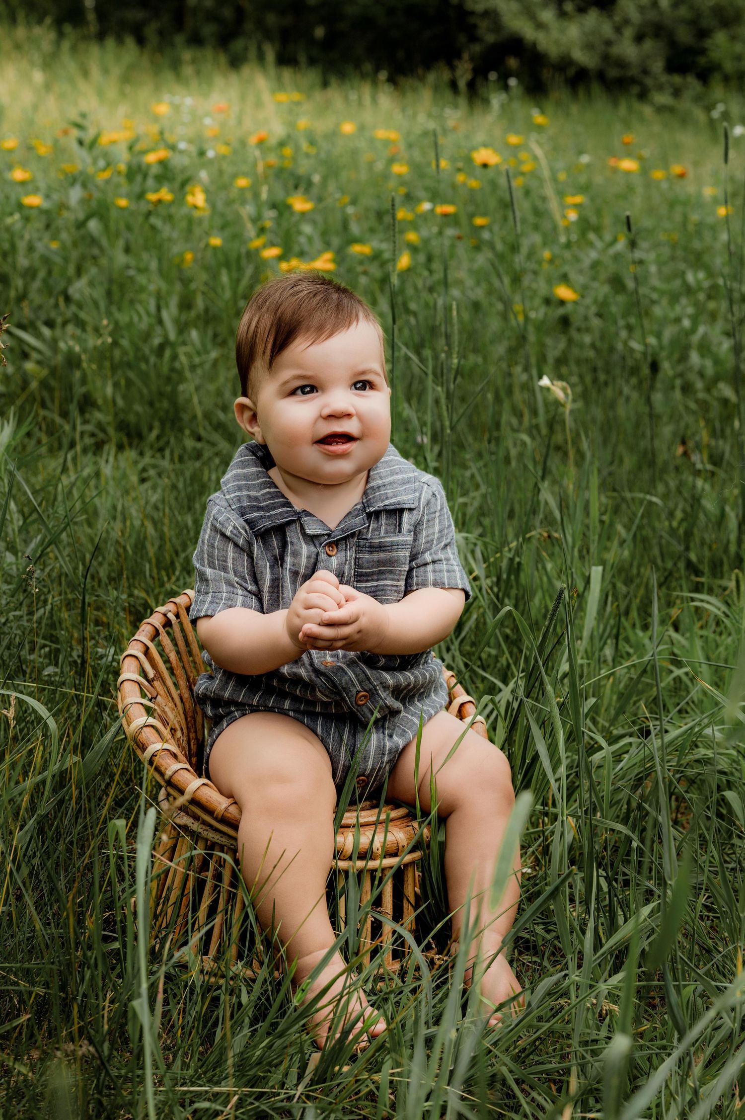 A smiling baby boy in a plaid romper sits in a wicker chair surrounded by lush green grass and yellow wildflowers.