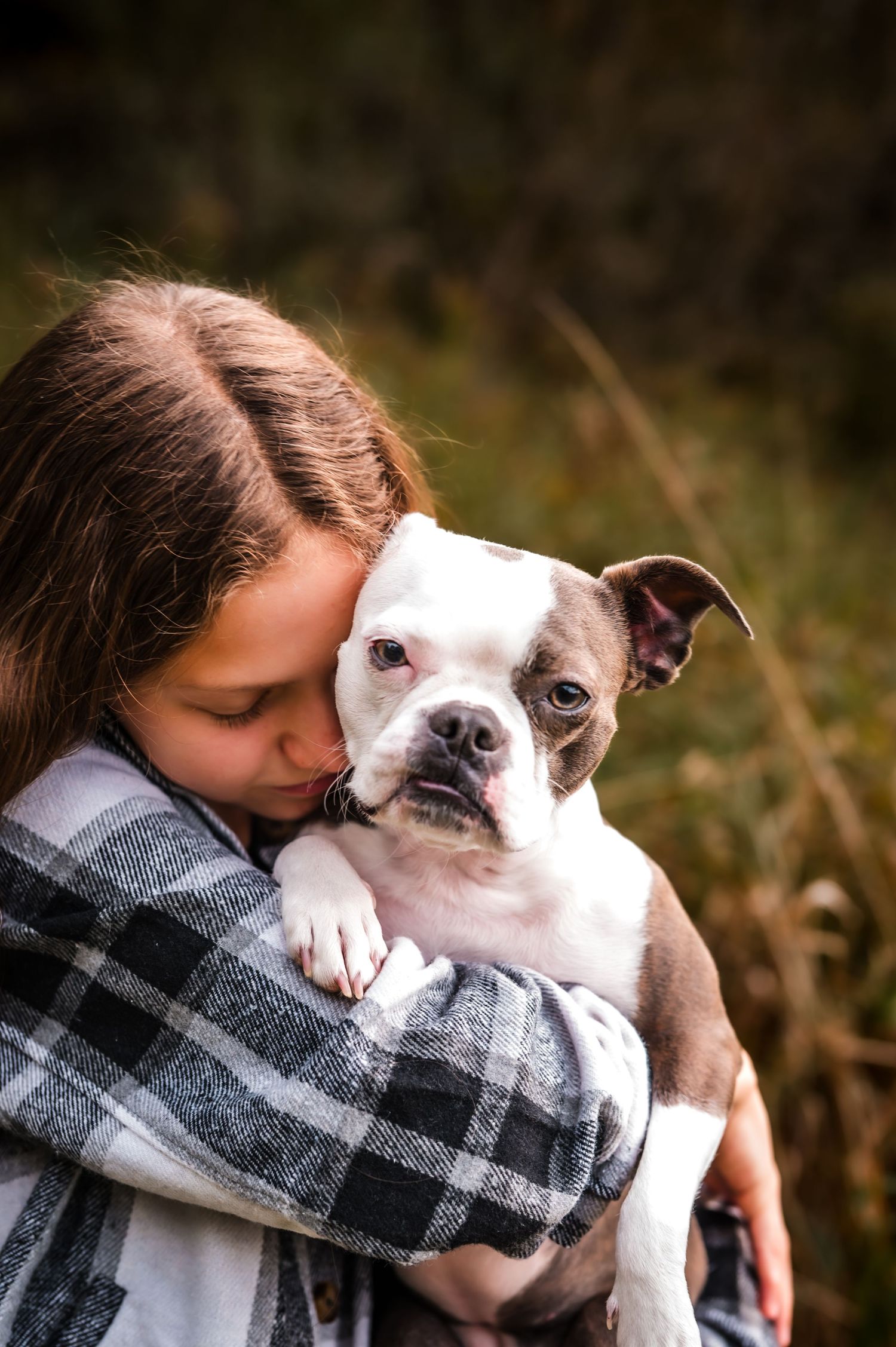 A heartwarming series of photos showing a tender moment between a person in a plaid shirt and a white dog with brown spots.