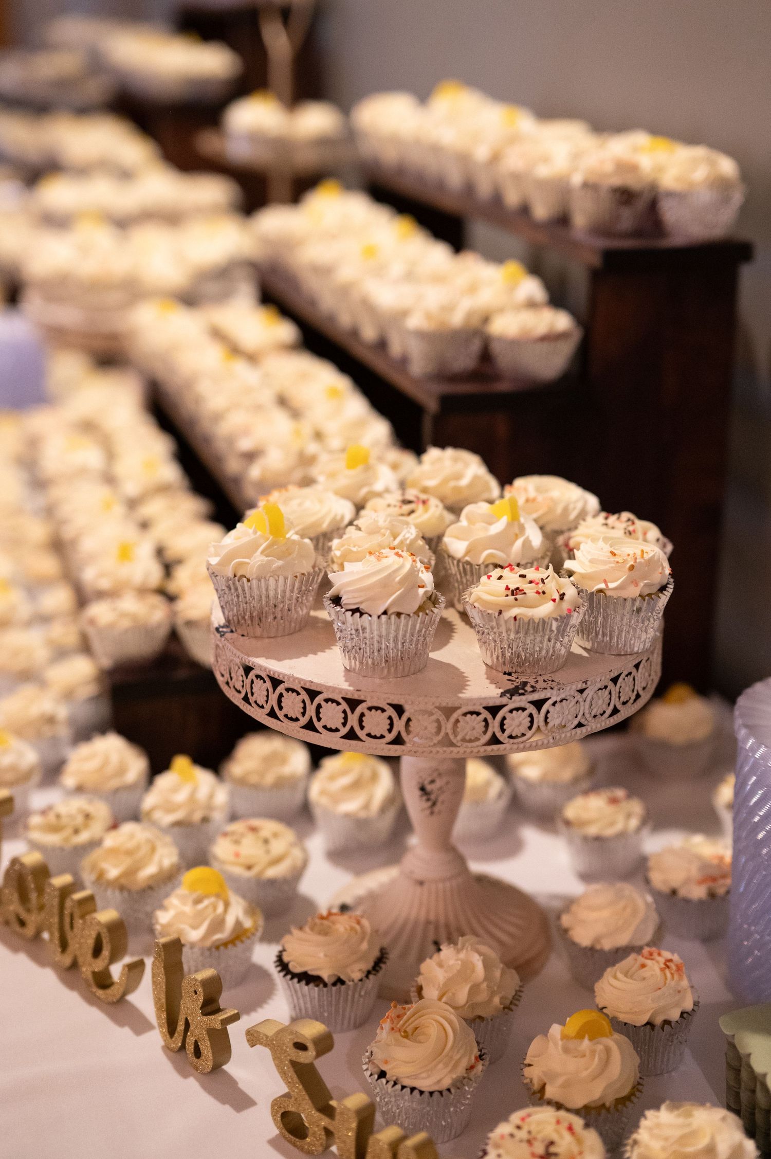 Kewaskum Luxury Wedding Photographer near Milwaukee, Sheboygan, Delafield, WI