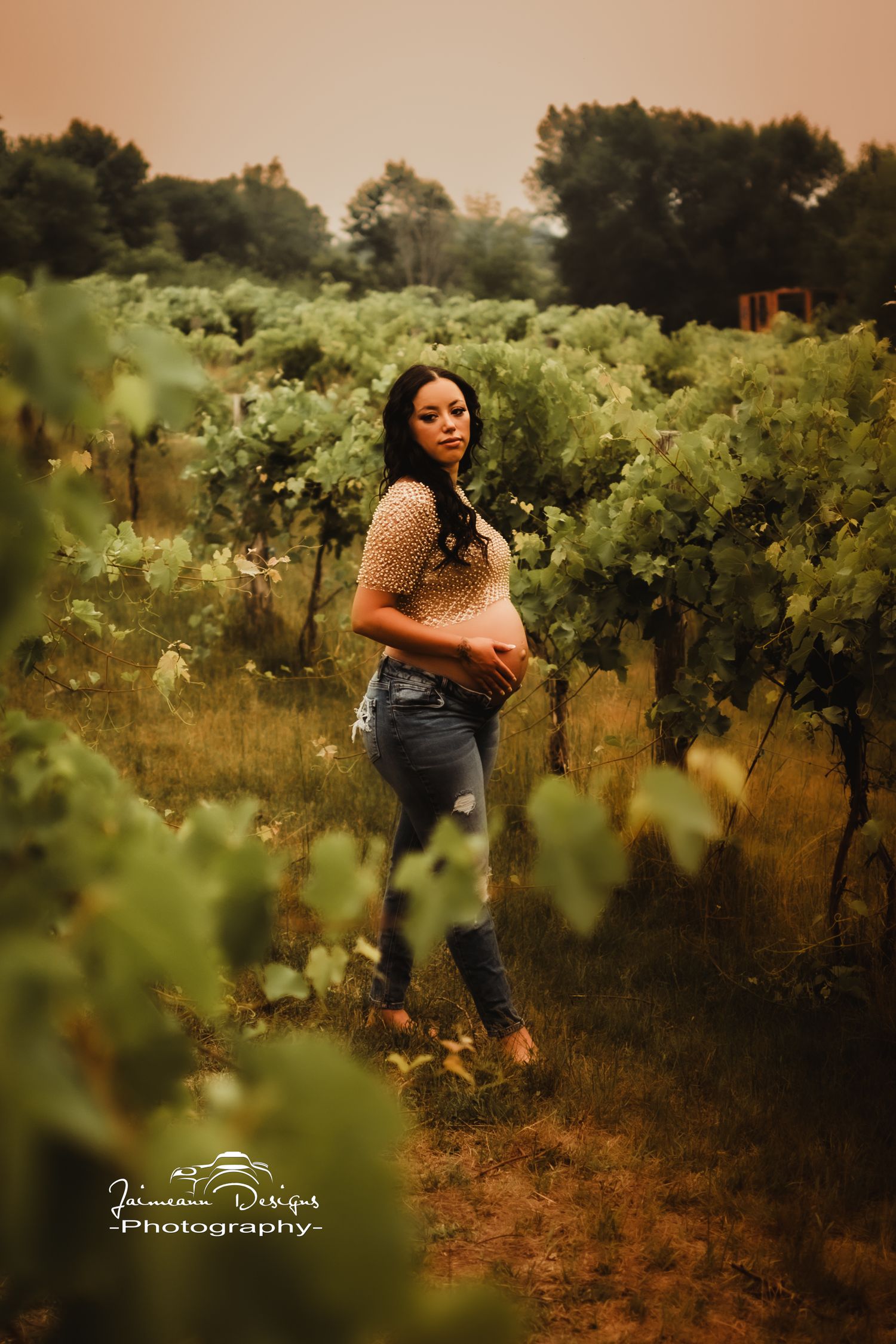 Scenic maternity photograph captured among grapevines at golden hour.