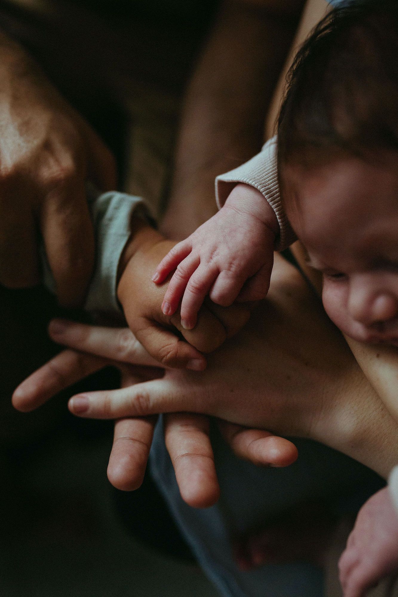 Newborn baby grasping toddler brother's fingers, close-up of hands on top of each other, mum, dad, toddler and newborn.