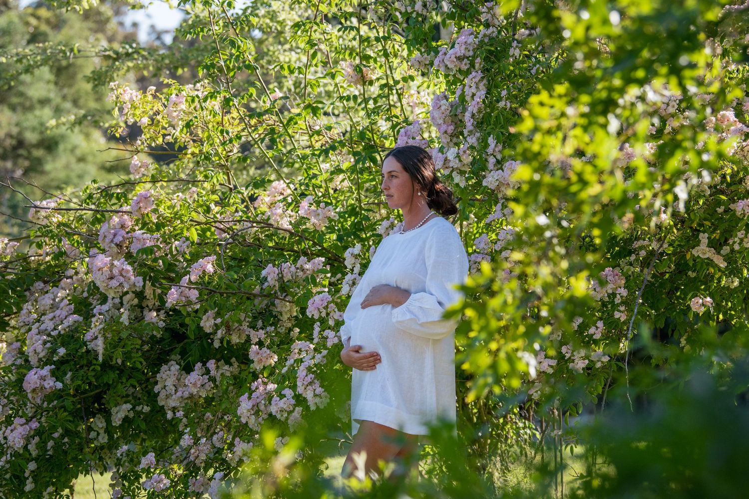 A person in a white shirt stands beneath a blooming apple tree in dappled sunlight during springtime.