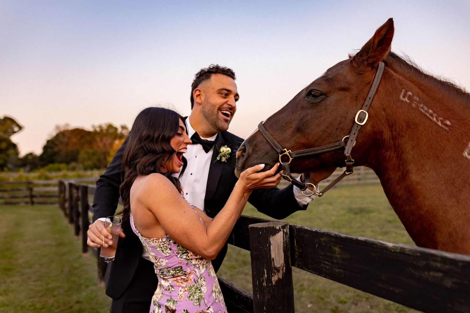 A sequence of photos showing a horse playfully nipping at someone in a floral dress while posing for photos.