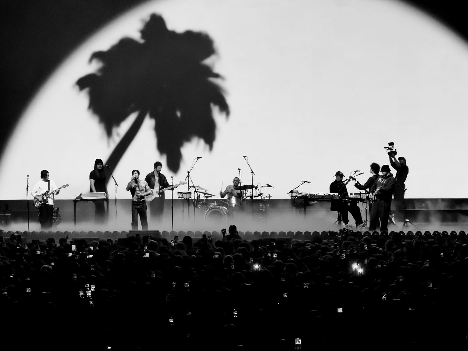 Black and white concert photo of a band performing on stage with a palm tree shadow and large crowd.