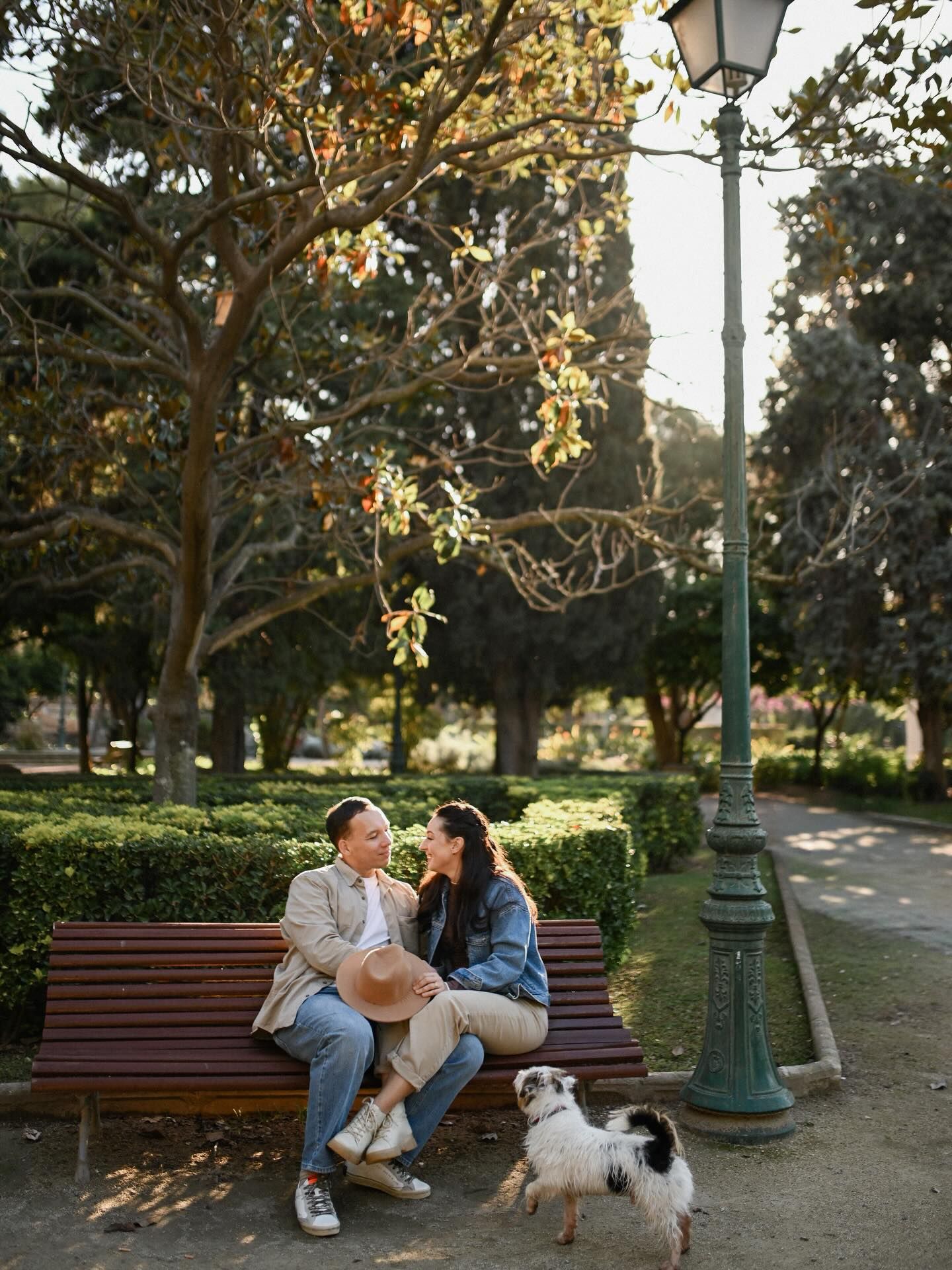 A smiling couple relaxed on a wooden bench under a large tree with their dog during an engagement session in a sunlit Valencia park.
