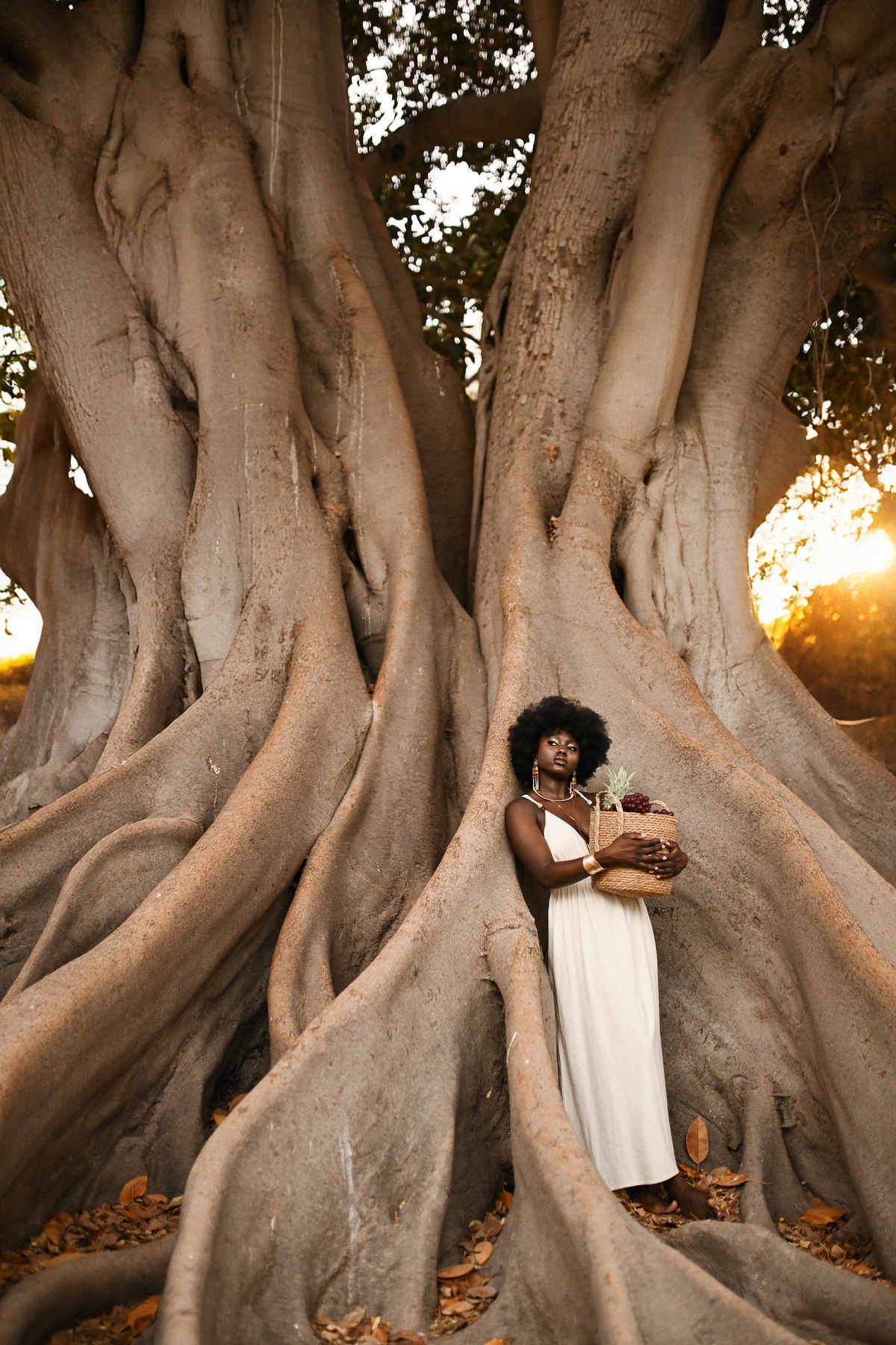 Wide shot of a model standing within the magnificent, sculptural trunk of an ancient ficus tree at La Glorieta park.