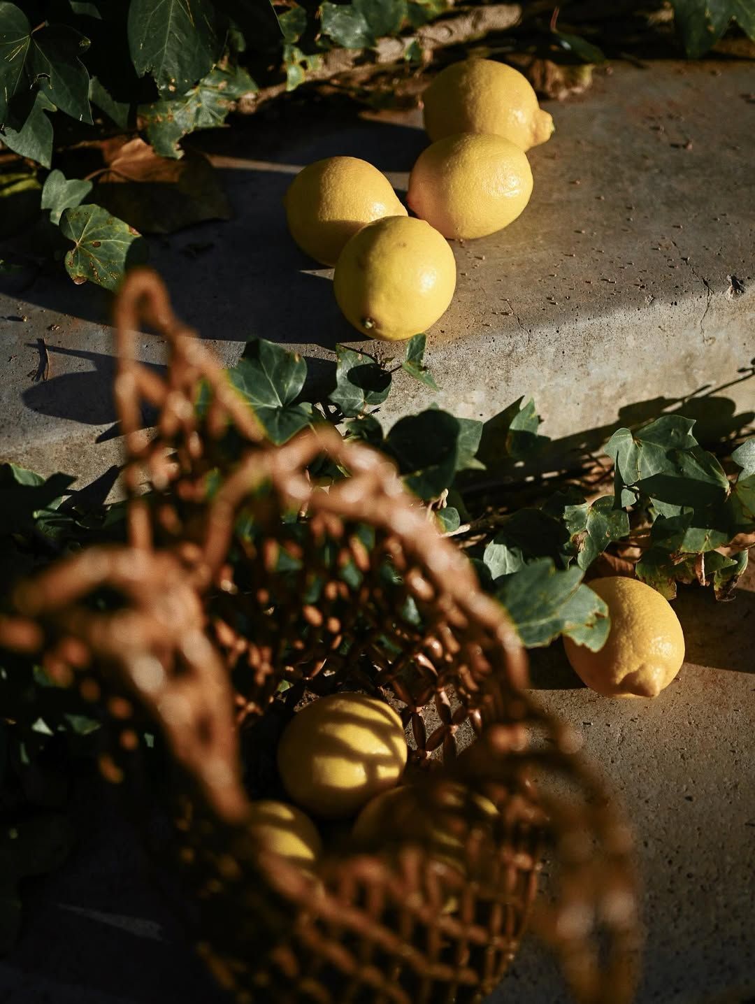 Aesthetic still life of fresh lemons and a woven bag on stone steps at Jardín de Las Hespérides during a Valencia photoshoot