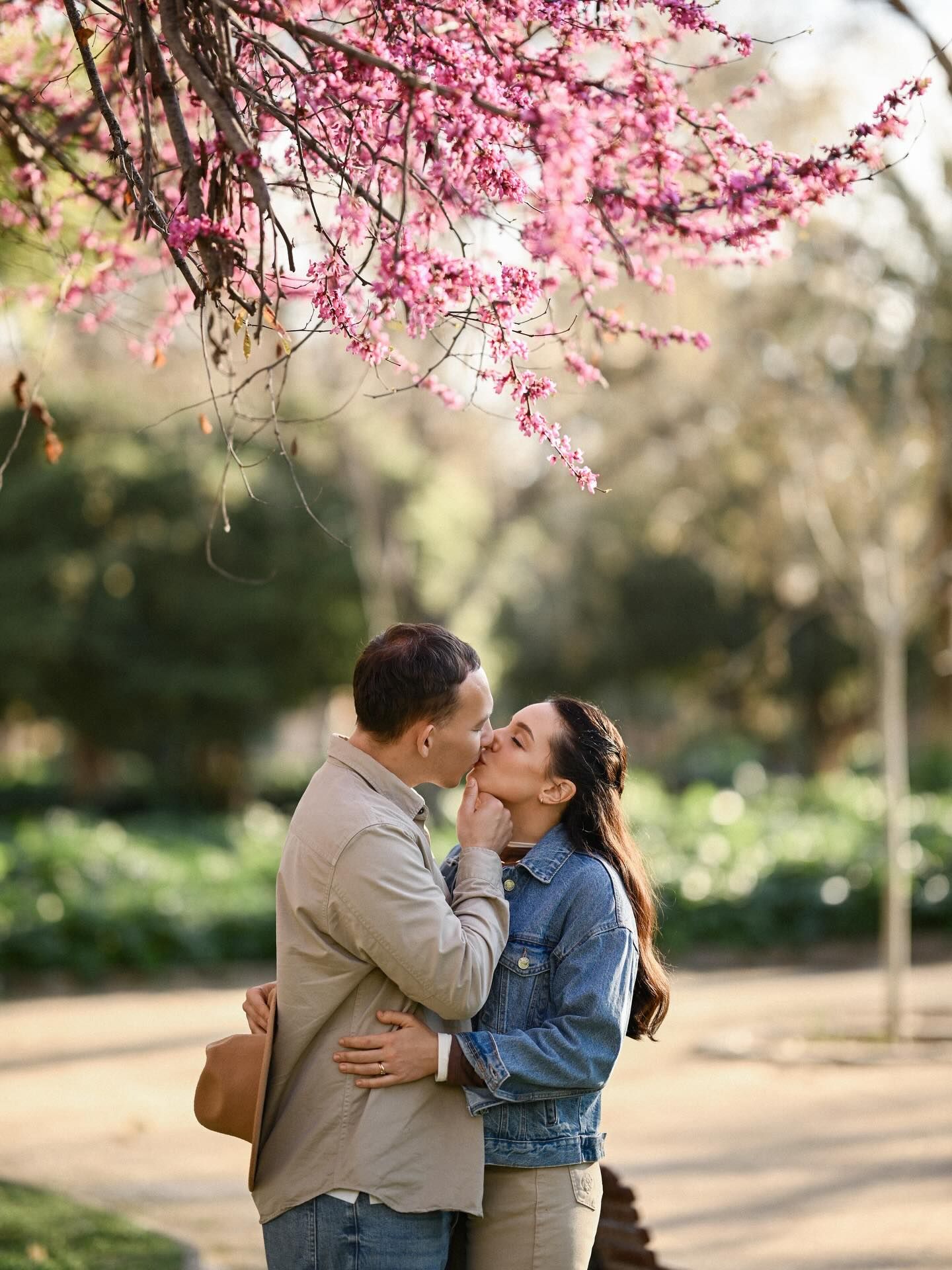 A tender moment of a young couple kissing passionately outdoors beneath beautiful pink blooming tree branches during a spring photoshoot.