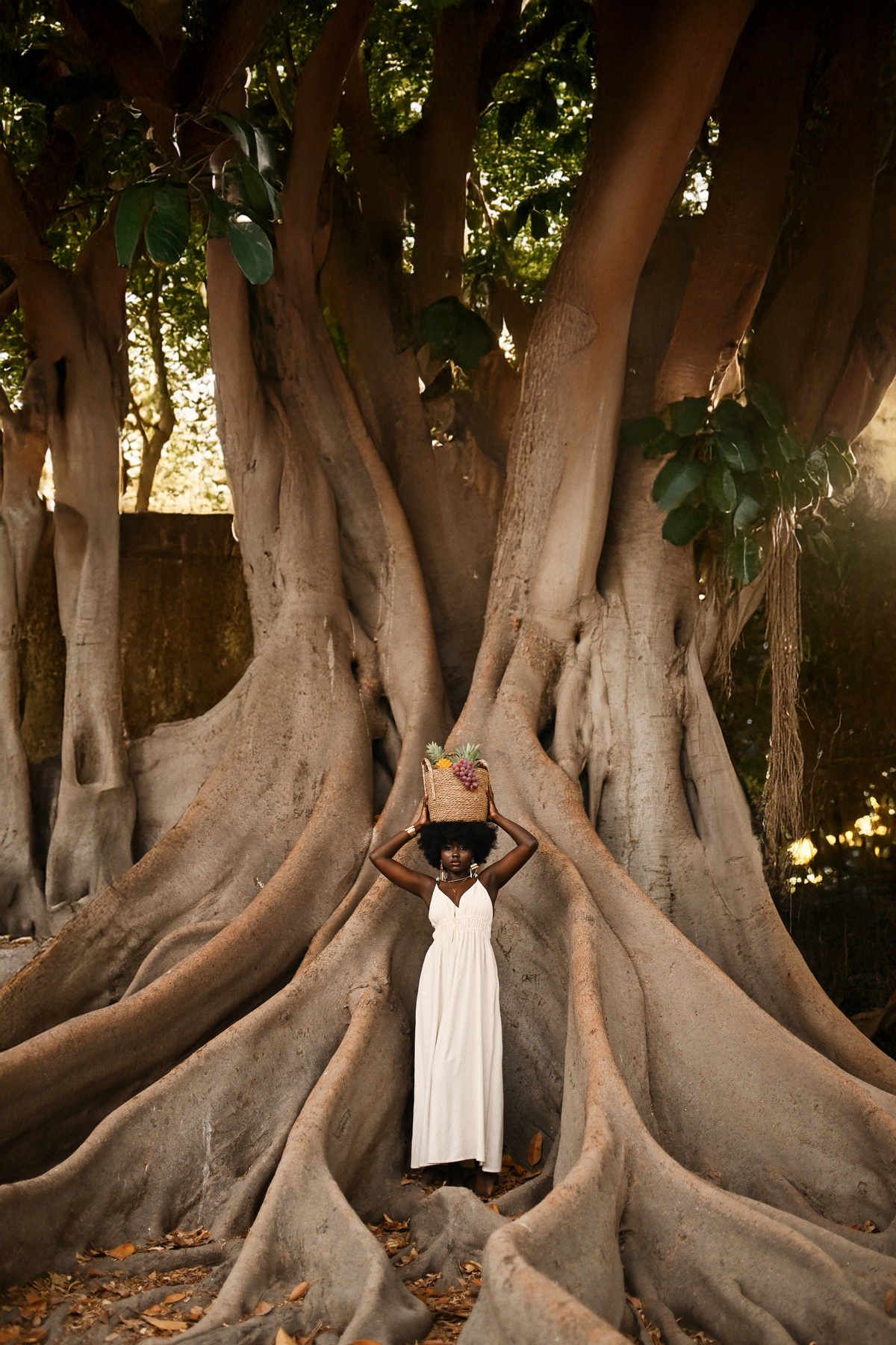 Full-scale fine art portrait showing a model standing inside the monumental, sculptural roots of a giant ficus tree at sunset.