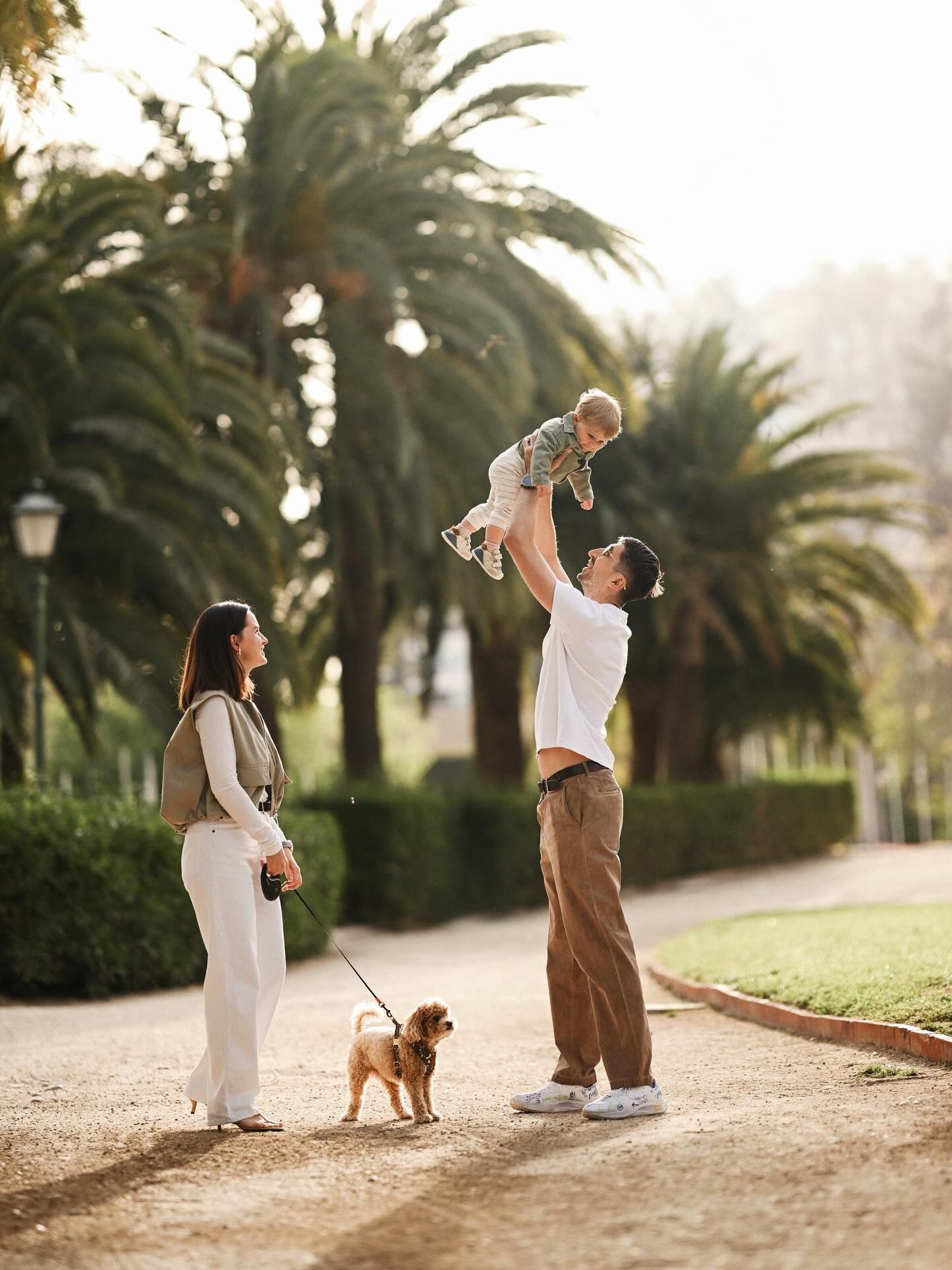 A father throwing his laughing baby in the air on a park path with palm trees, while the mother holds a dog in Valencia.