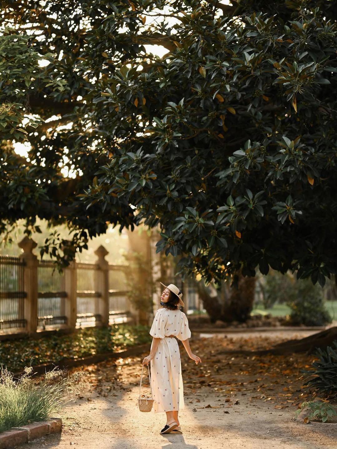 A full-length portrait of a woman in a white dress walking under a massive historic tree in Valencia, captured in warm sunset light.