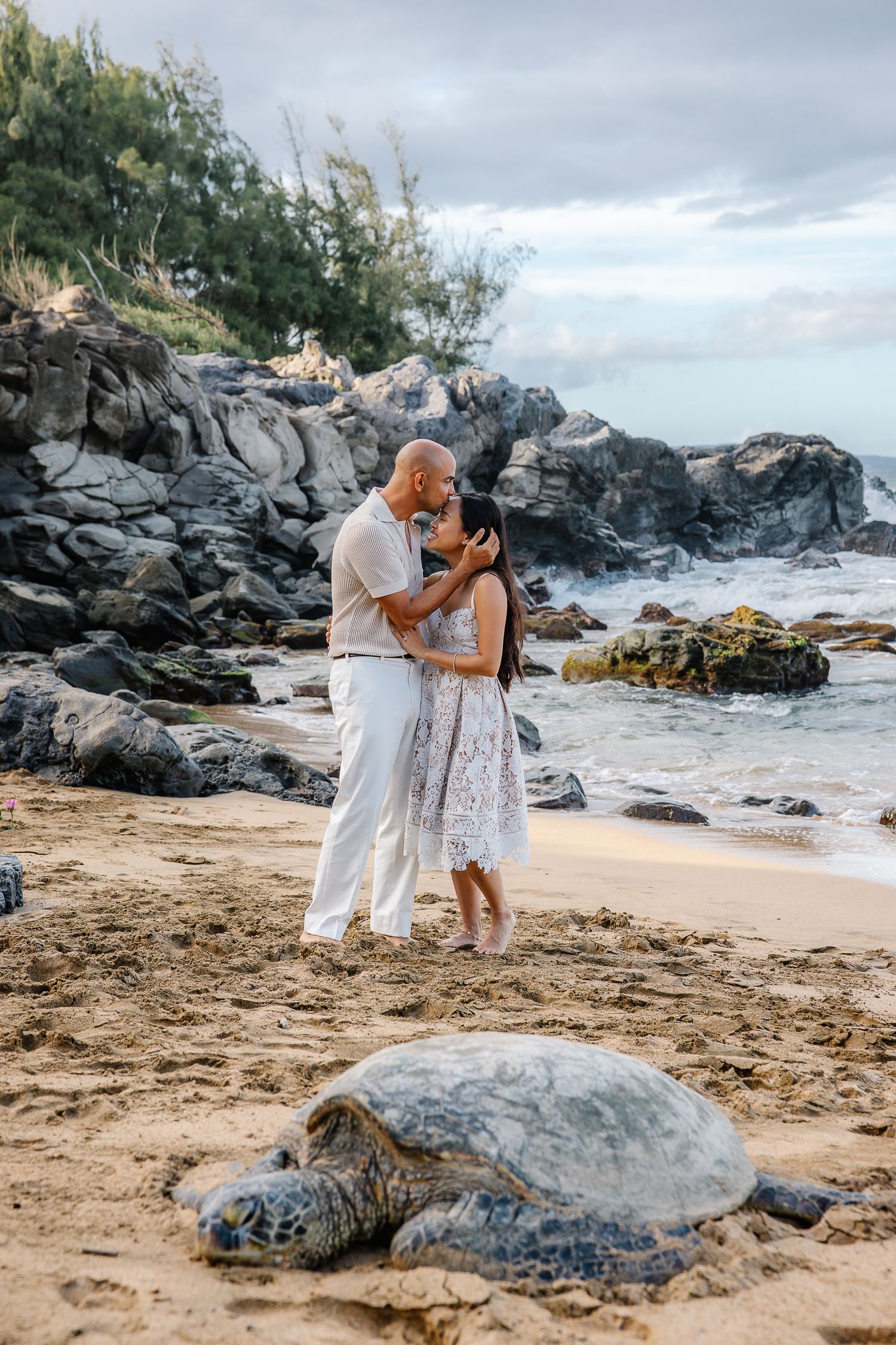 Beach proposal scene with sea turtles resting on sandy shore.