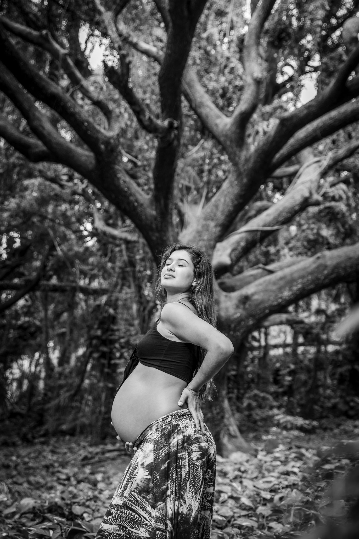Black and white maternity portrait taken under dramatic tree branches.