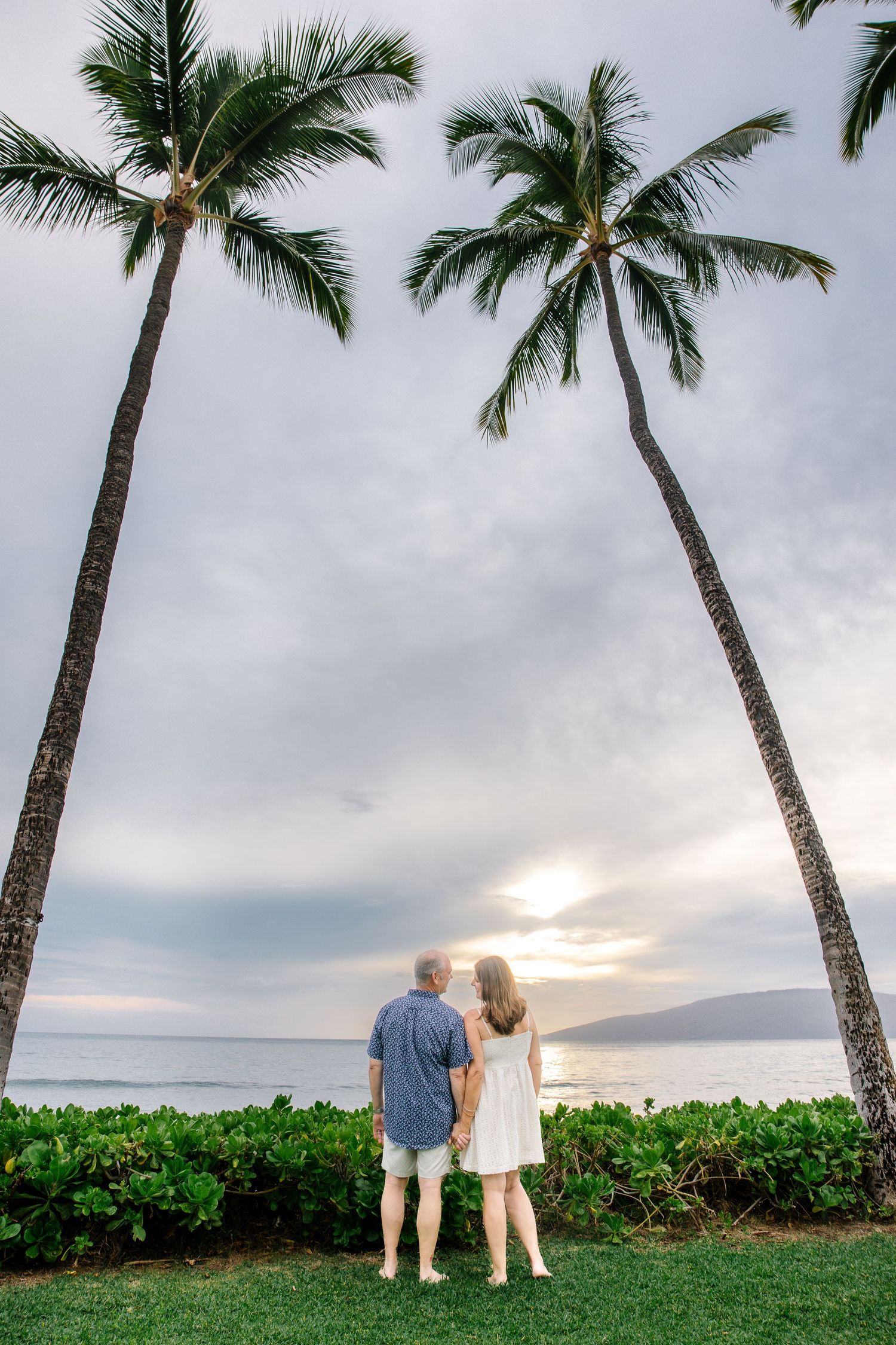 Palm trees line the oceanfront lawn at sunset in Hawaii.