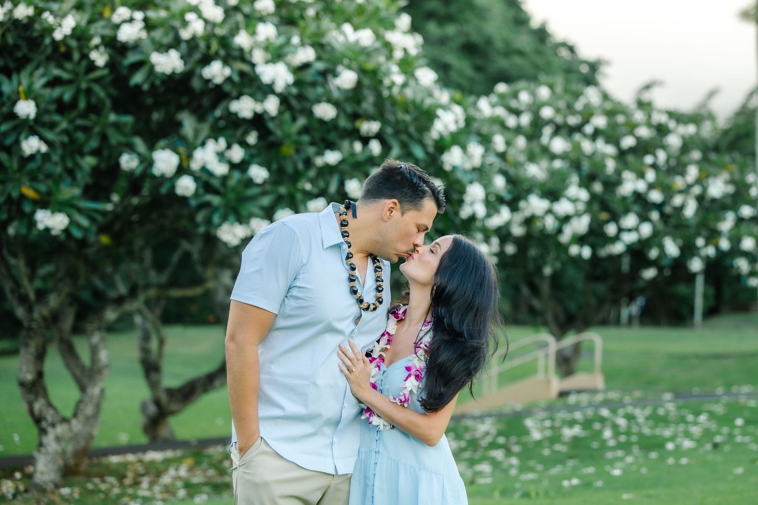 Couple sharing a romantic kiss outdoors in Hawaii, wearing leis near blooming white plumeria trees on lush green lawn.