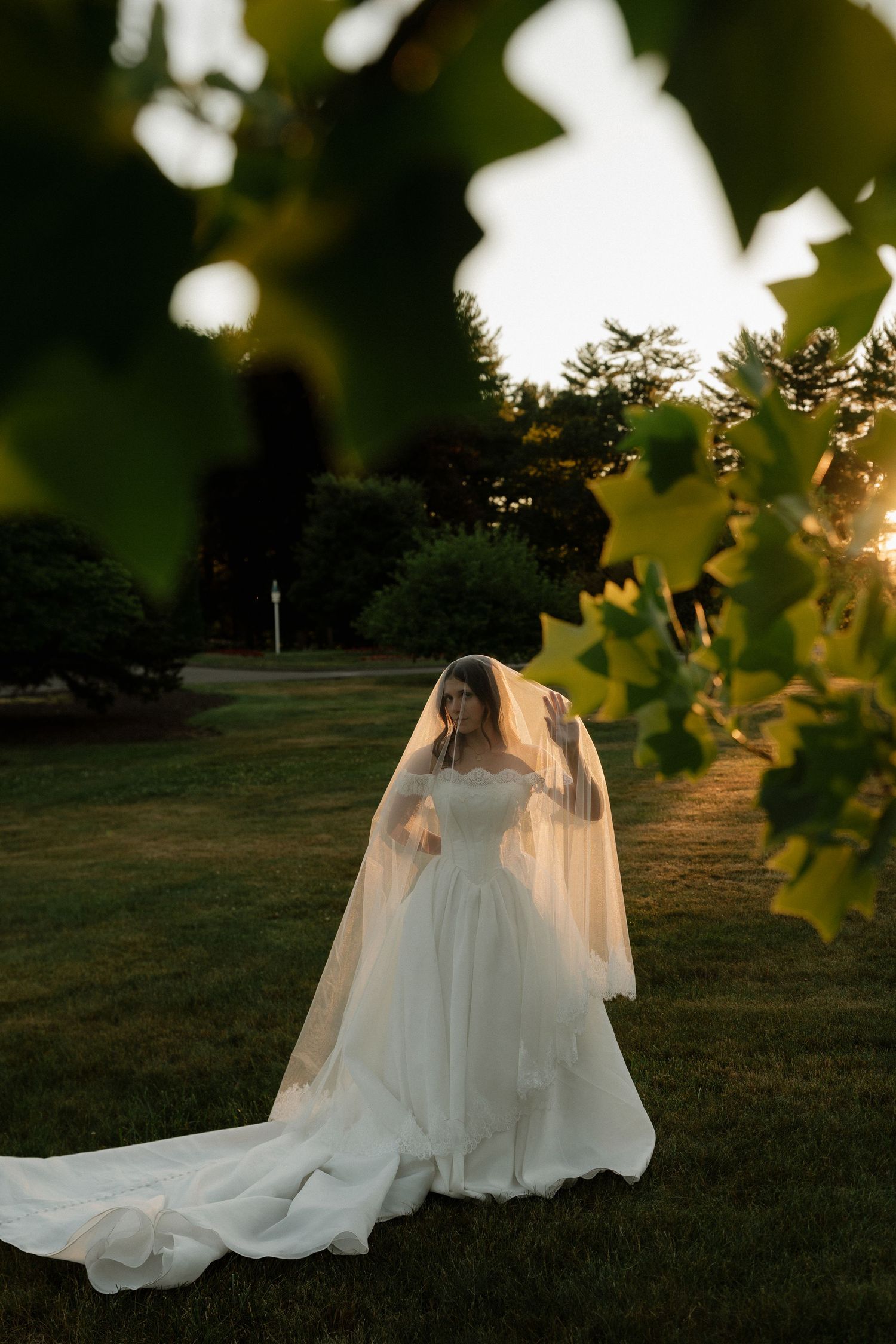 Bride in a flowing white gown and long veil stands on green lawn at golden hour, framed by lush leaves.