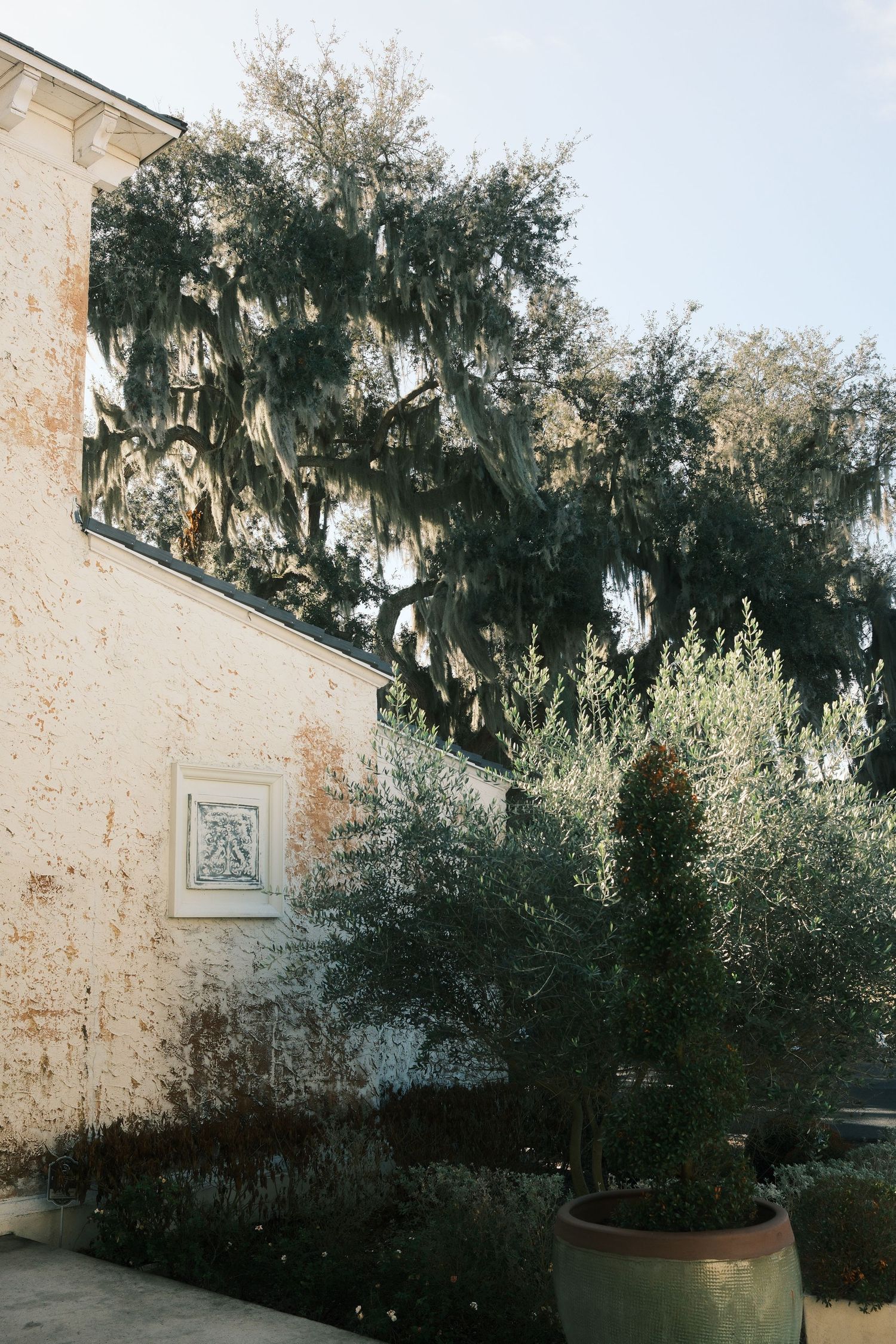 Sunlight casts shadows on a beige stone wall with ornate architectural details and lush greenery in planters.
