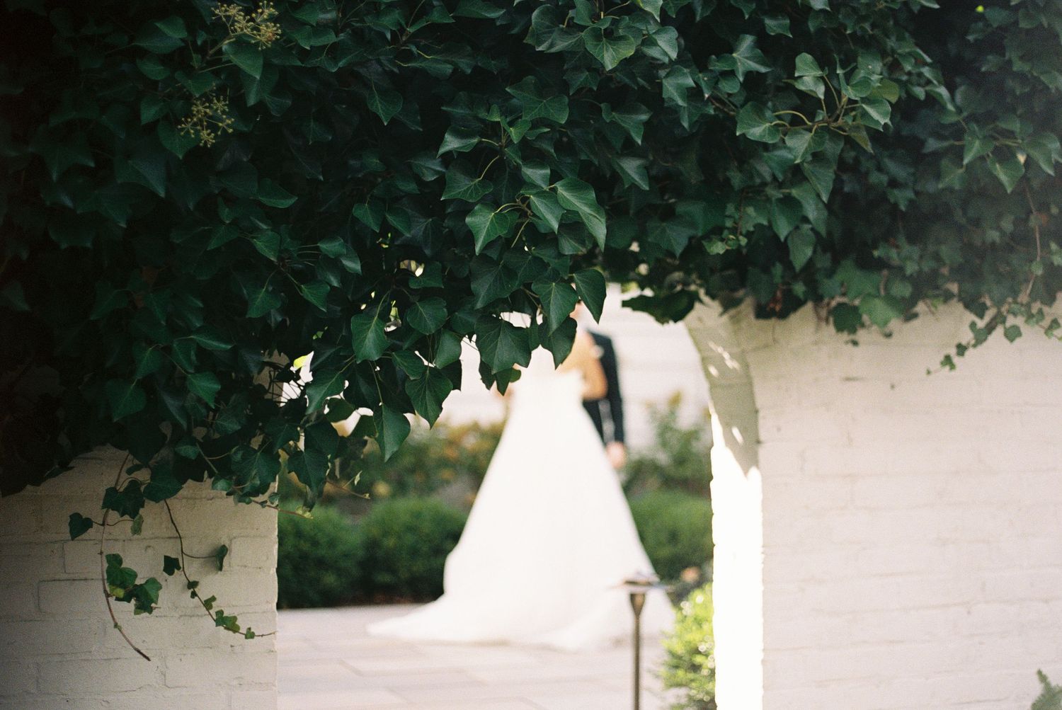 Lush green foliage frames a white exterior wall and window of an elegant wedding venue.