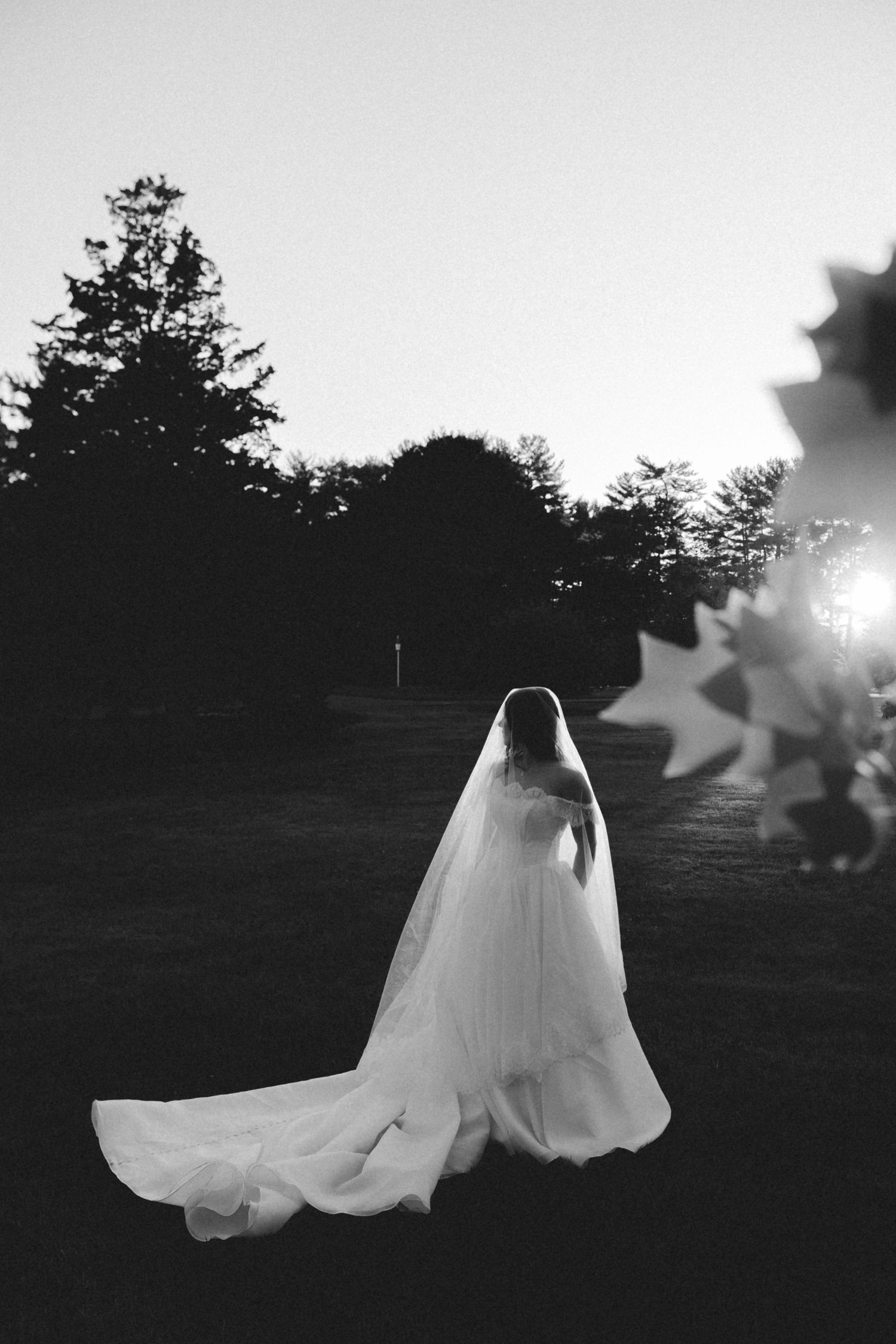 Elegant bride in flowing white gown with long veil walks across lawn at dusk in black and white photo.