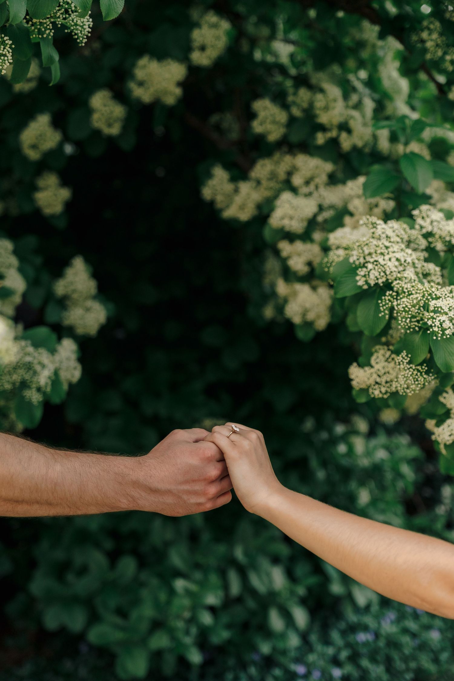 Couple holding hands tenderly in front of lush green bushes with white flowers in bloom.