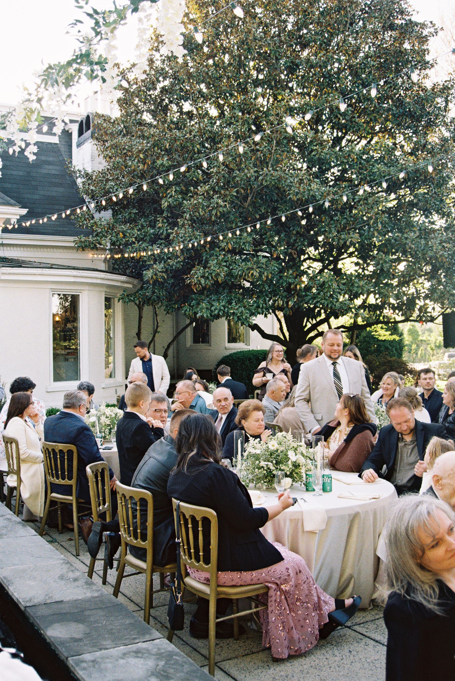 Outdoor wedding reception with guests seated at elegant tables under string lights and a large magnolia tree.