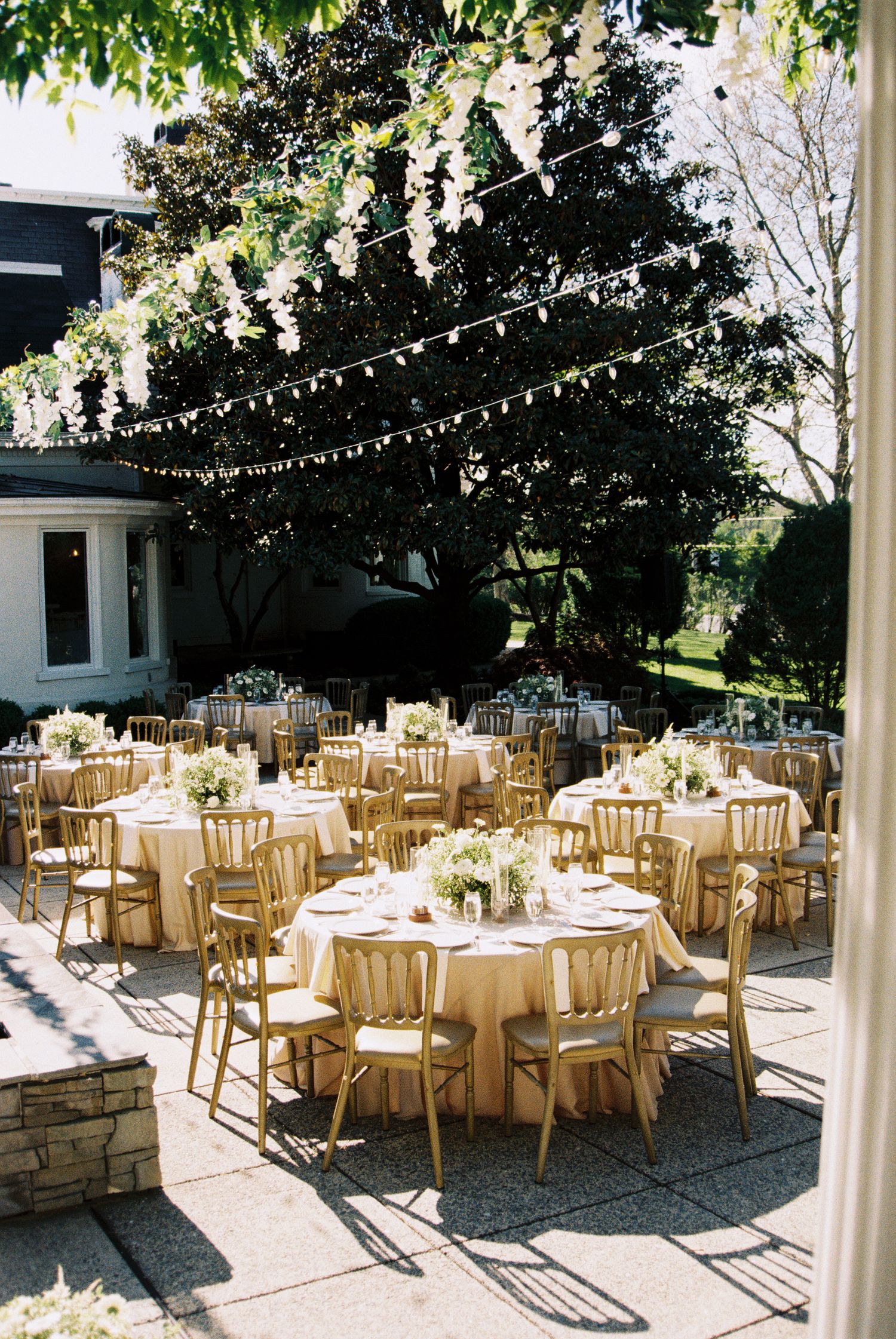Elegant outdoor wedding reception with gold chiavari chairs, round tables with white floral centerpieces, and string lights overhead.