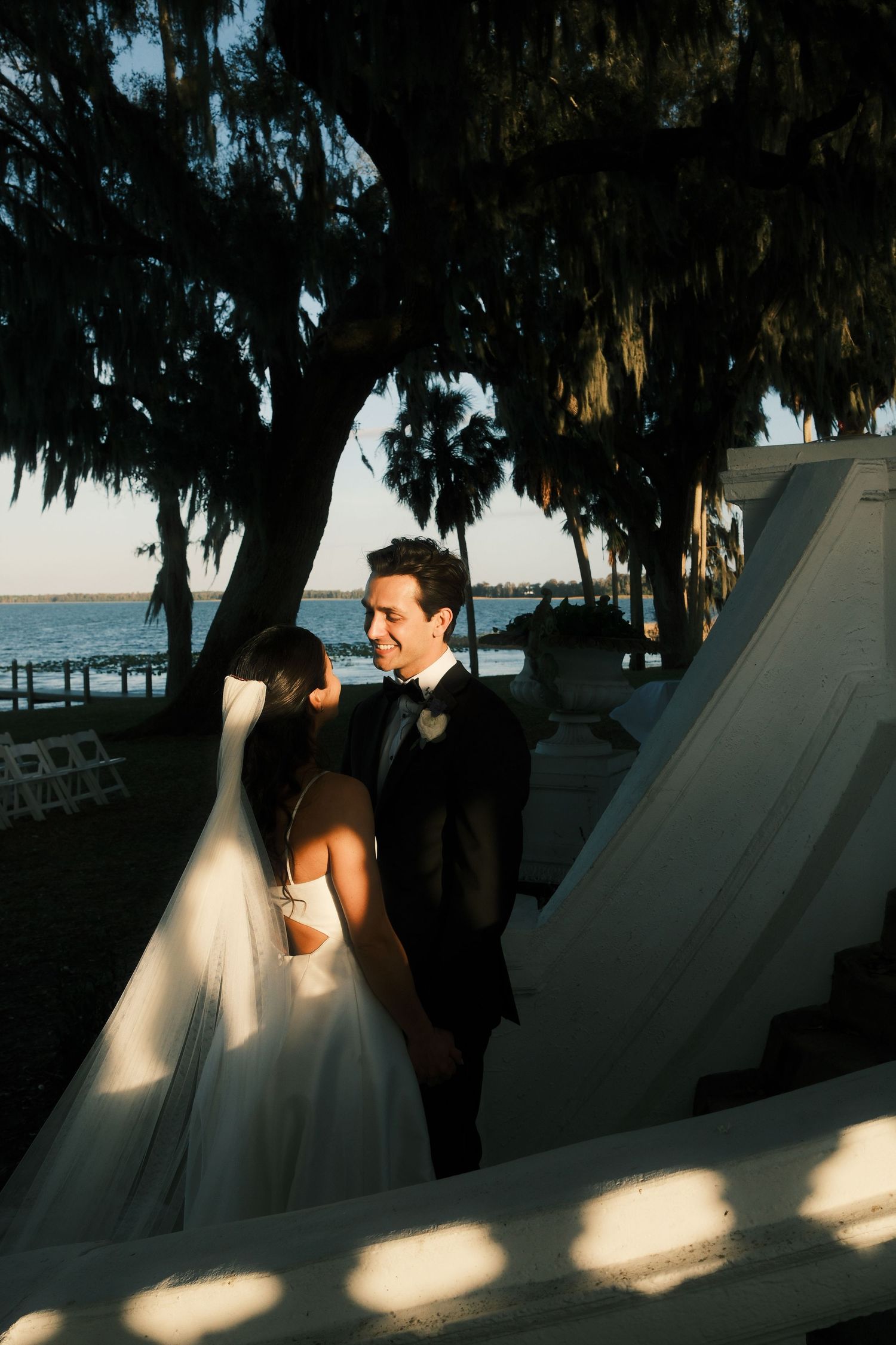 Wedding party silhouettes against sunlit backdrop under Spanish moss trees.