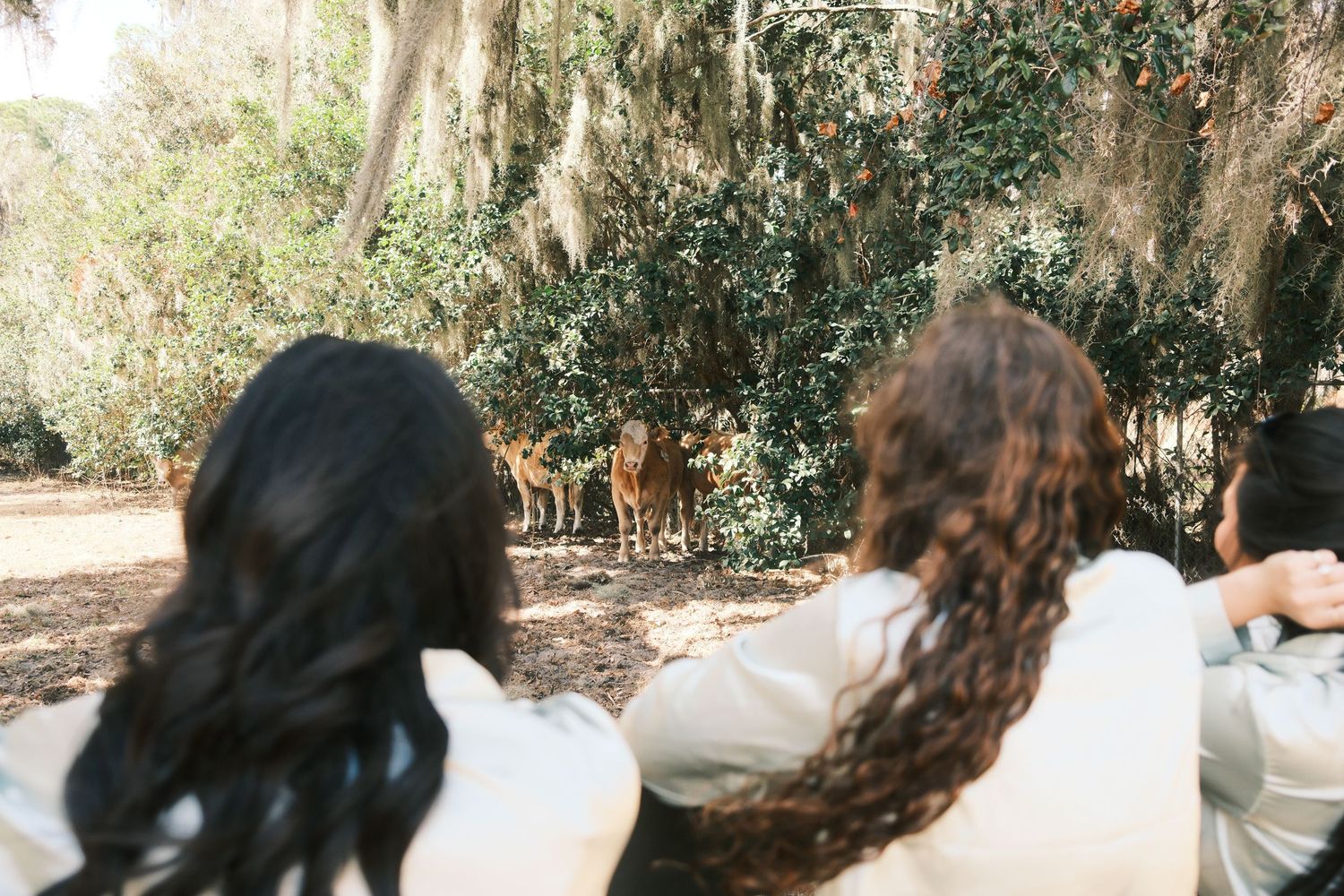 A series of photos showing long curly dark hair being styled and transformed in an outdoor setting.