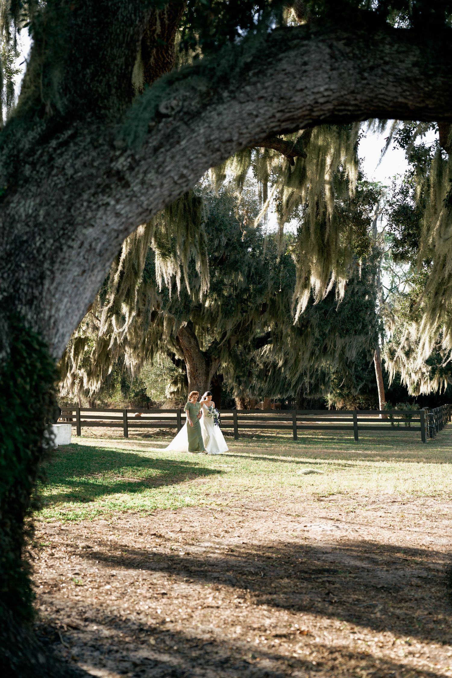 Scenic wedding venue with Spanish moss hanging from oak trees and a white building in the background.