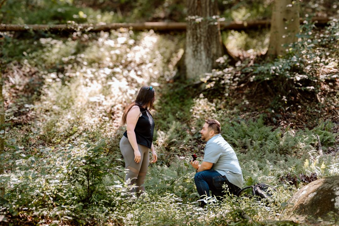 Man kneeling to propose to woman in a sunlit forest clearing surrounded by wildflowers and lush greenery.