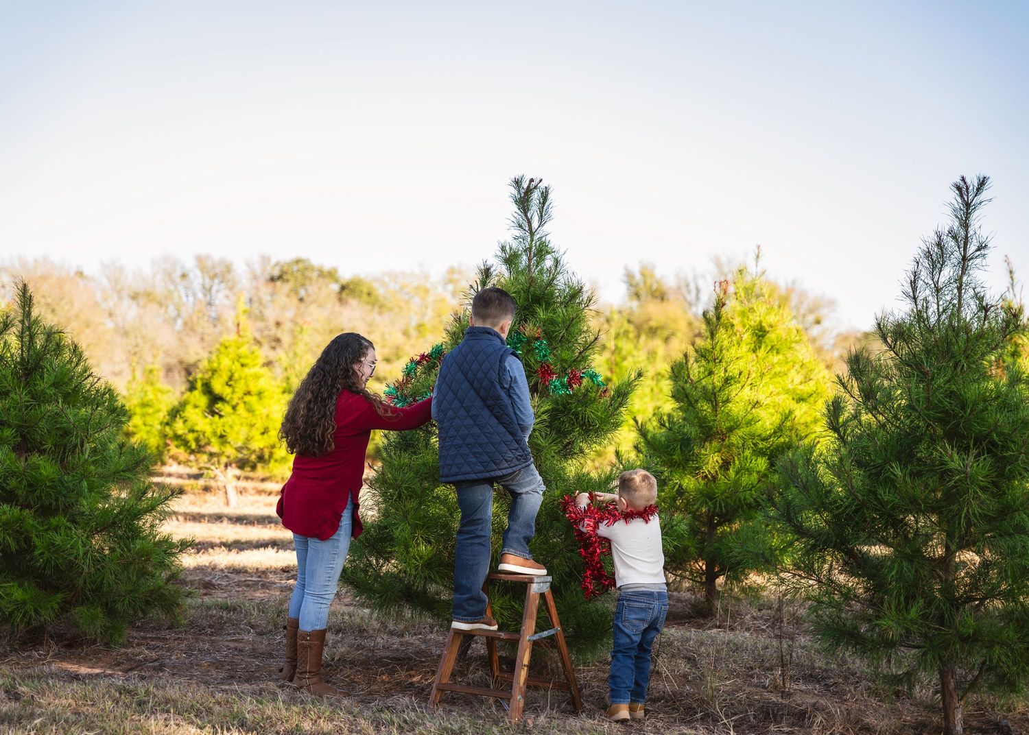 Christmas tree farm lifestyle photography, Elgin TX