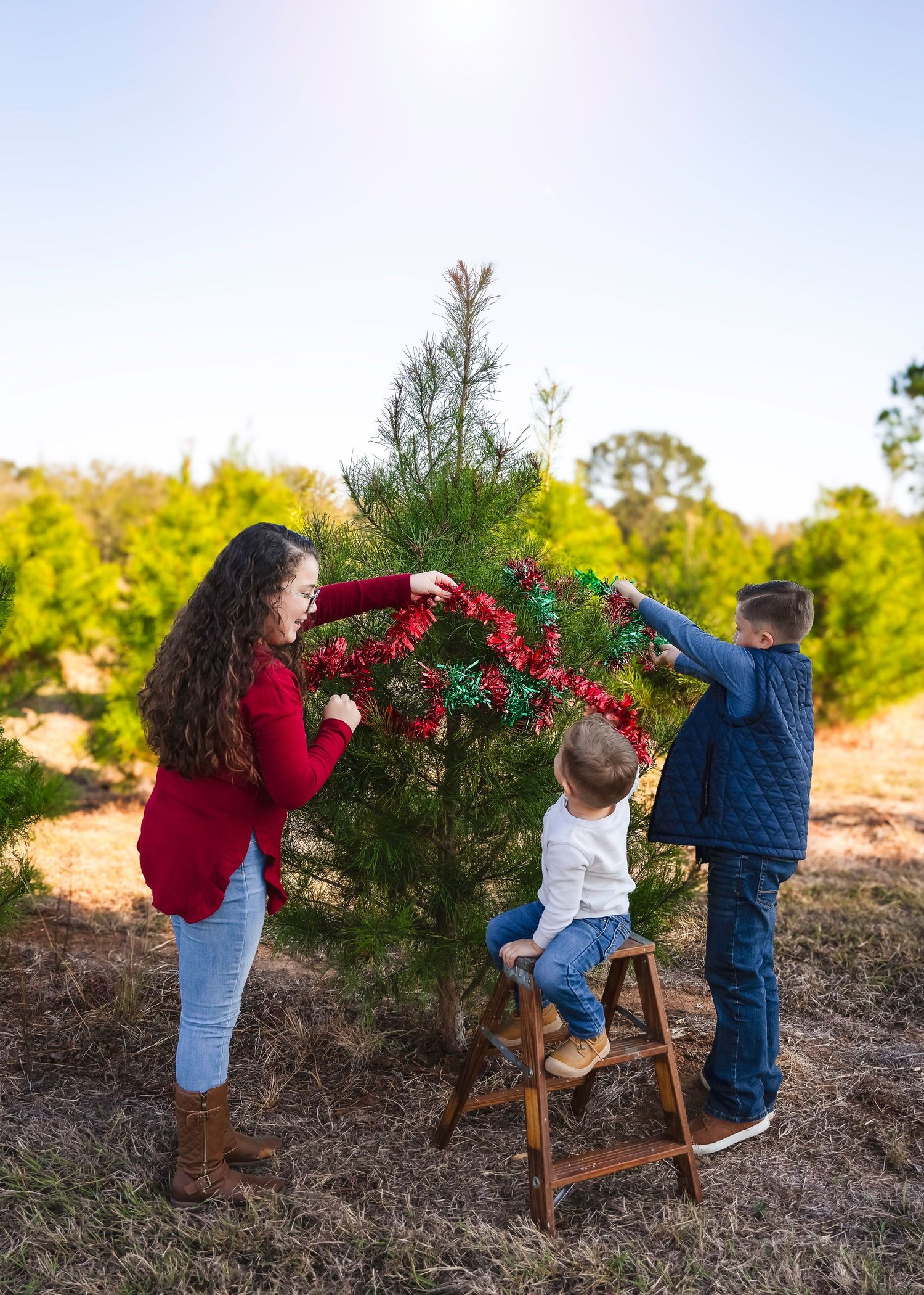 Christmas tree farm lifestyle photography, Elgin TX